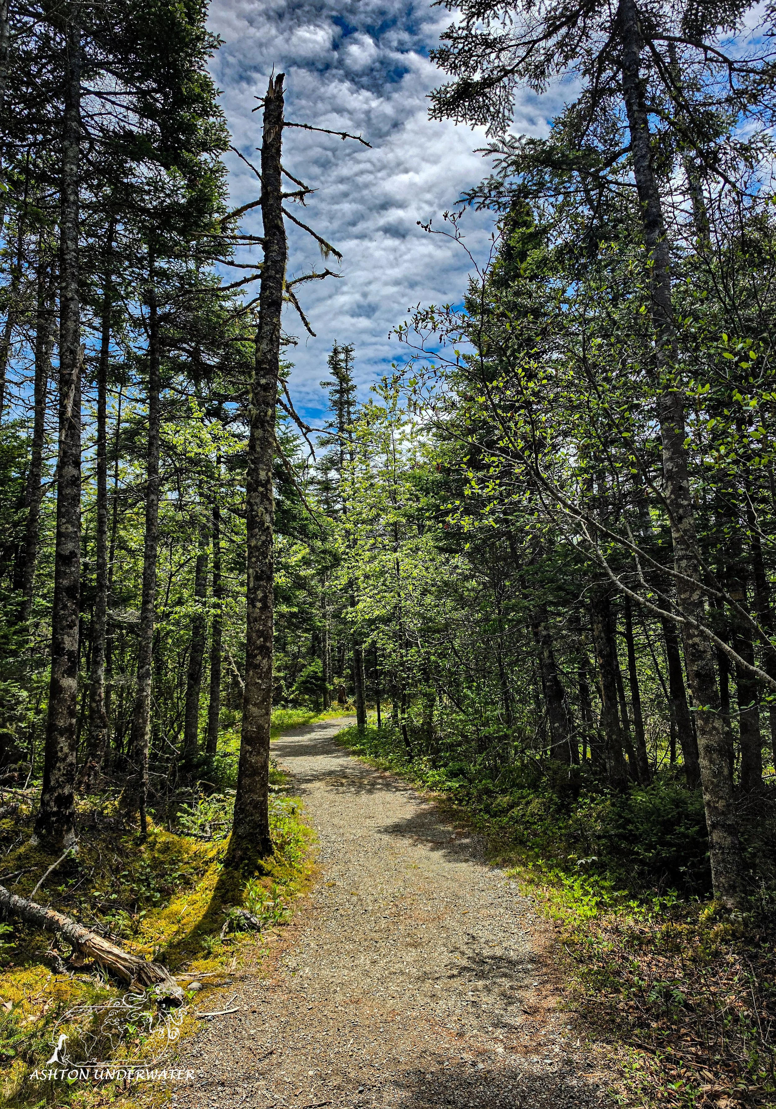 Maine-93.jpg