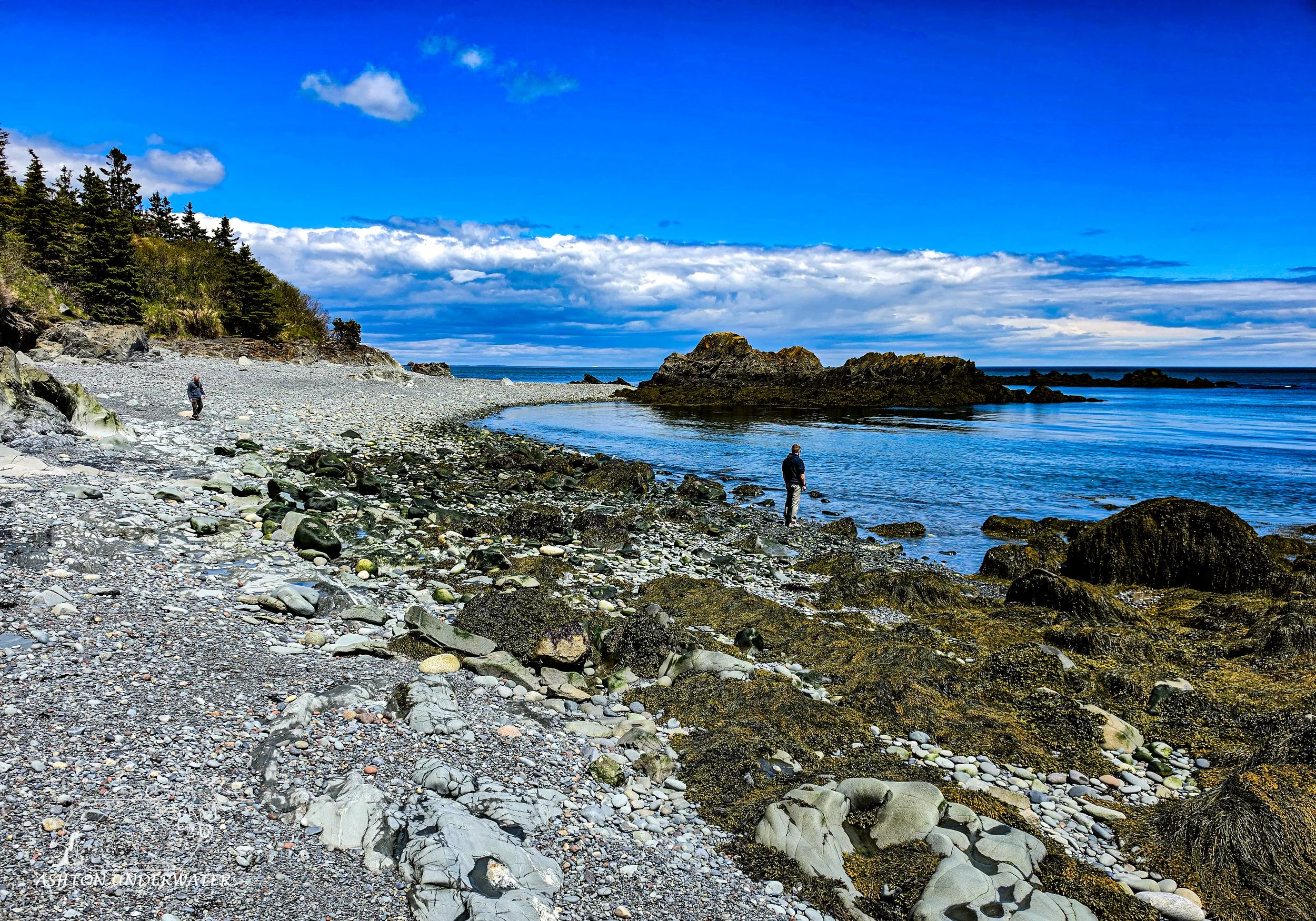 Maine-99.jpg