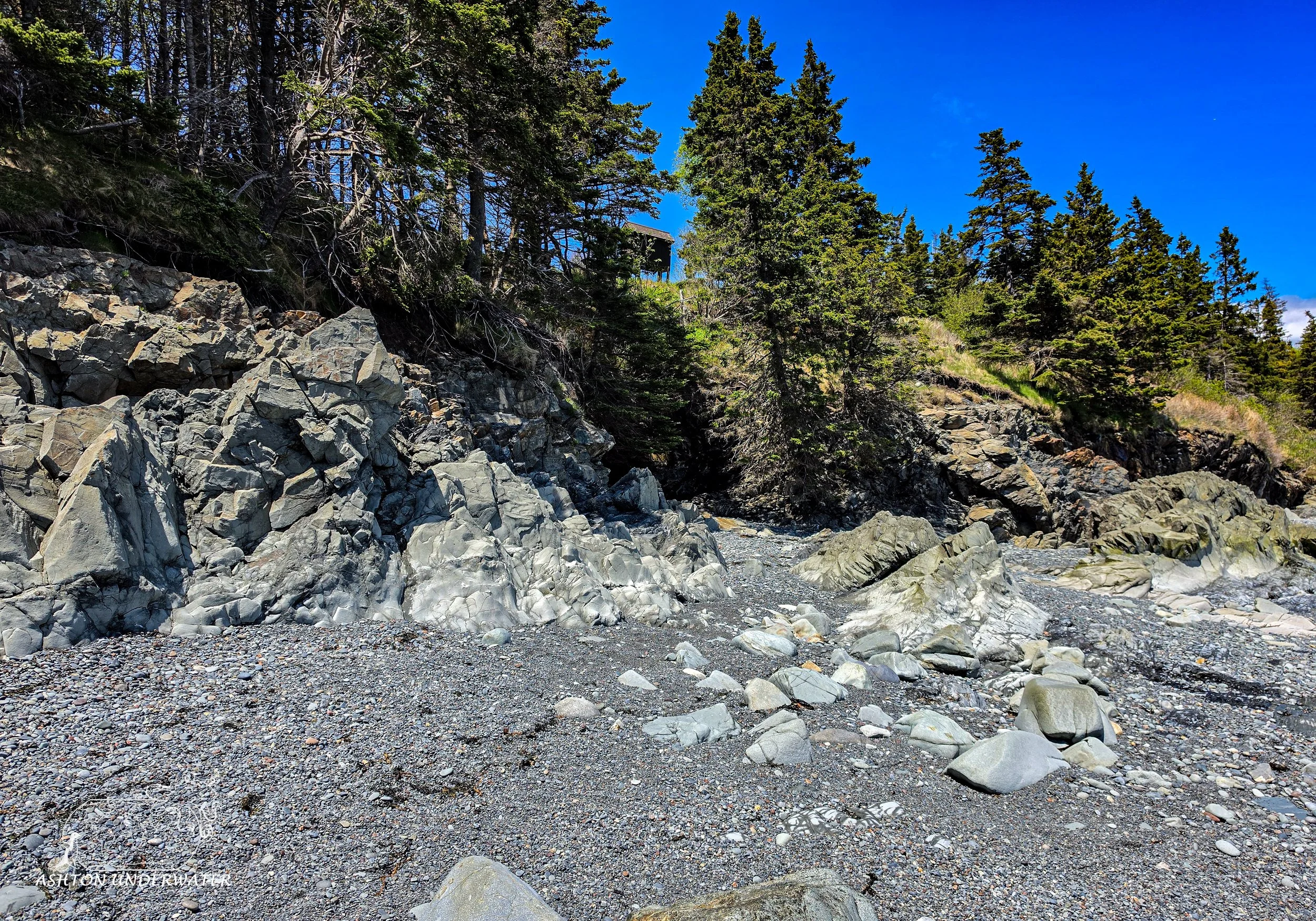 Maine-100.jpg