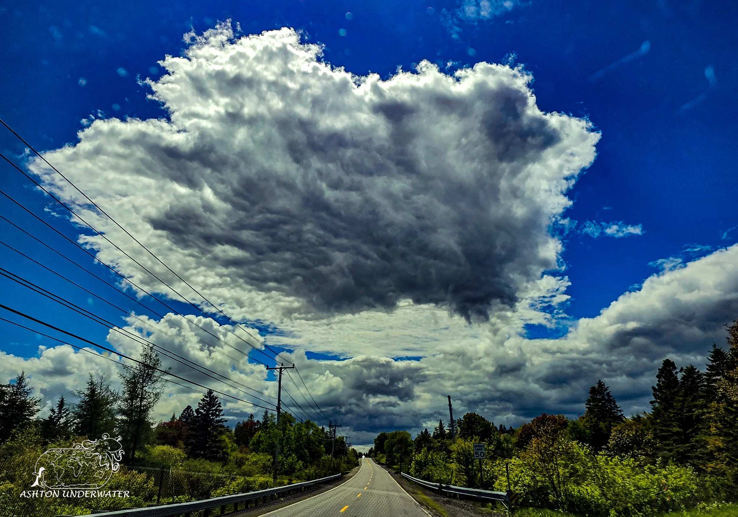 Maine-102.jpg
