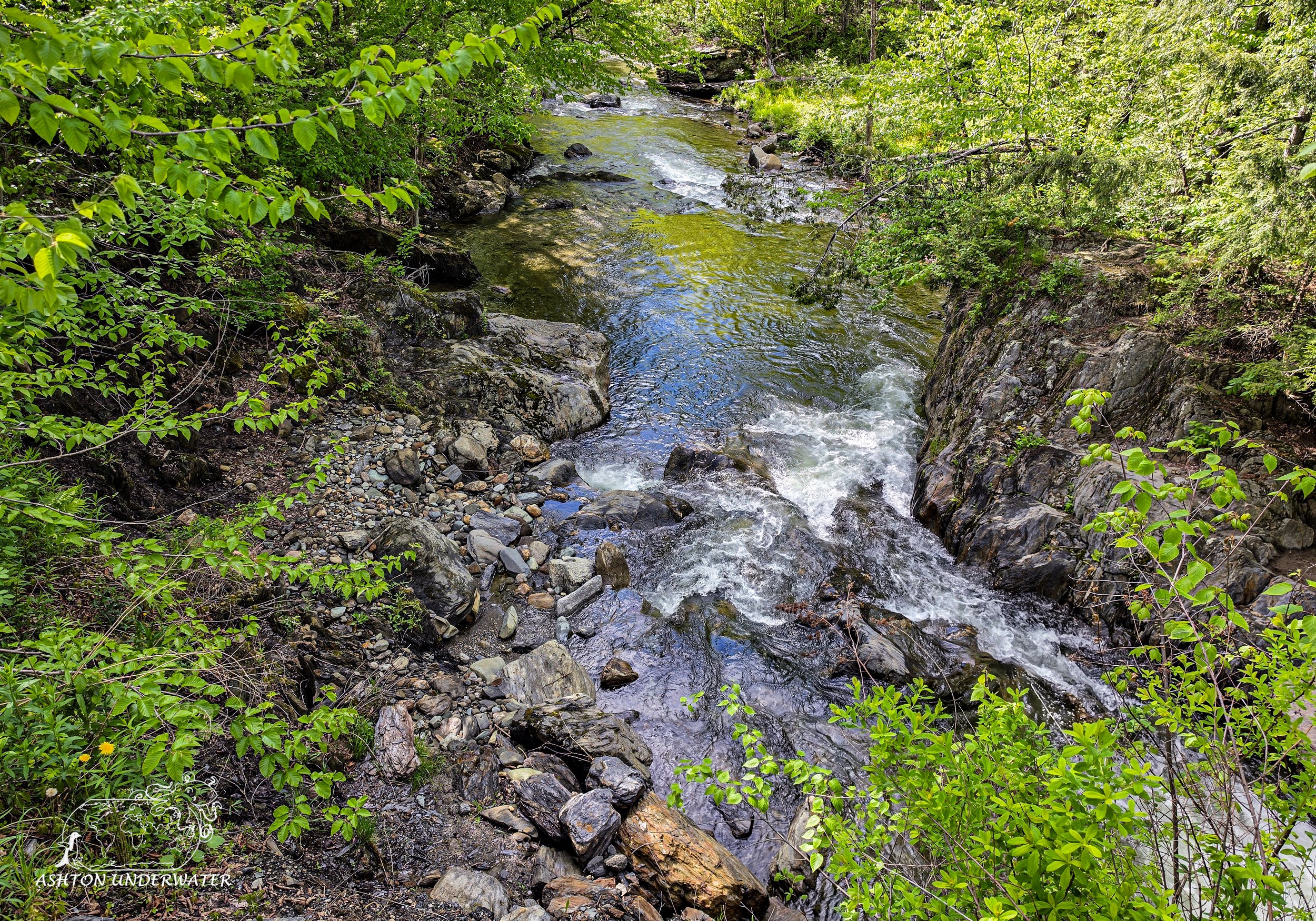 Vermont-7.jpg