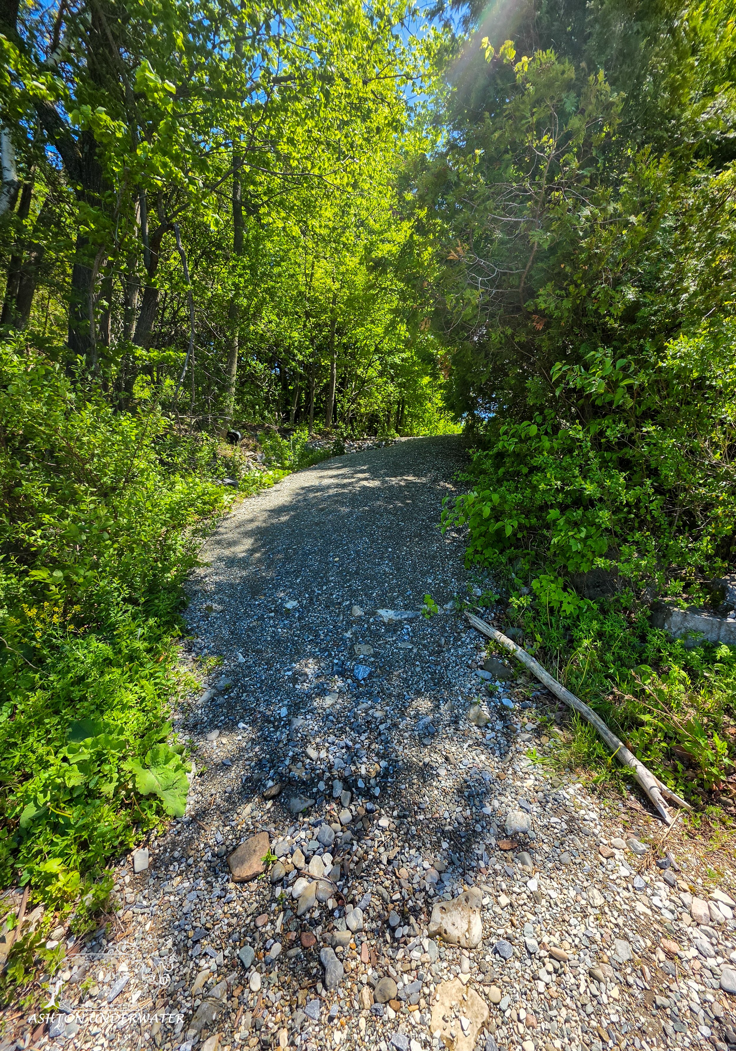 Vermont-13.jpg