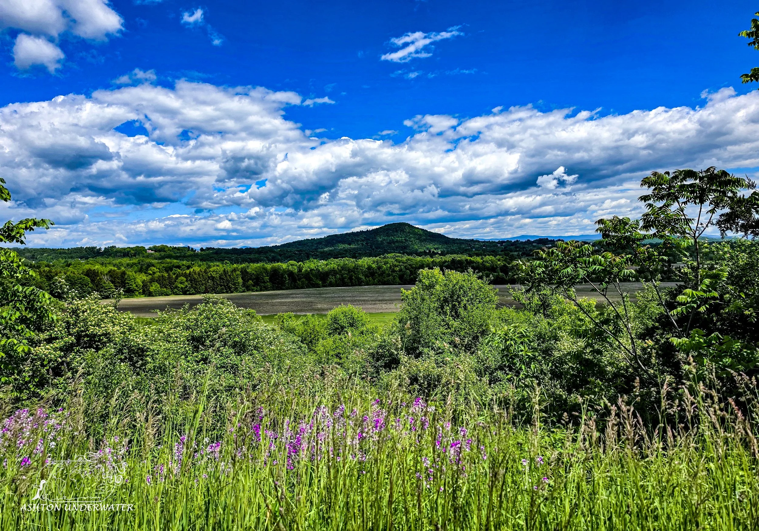 Vermont-31.jpg