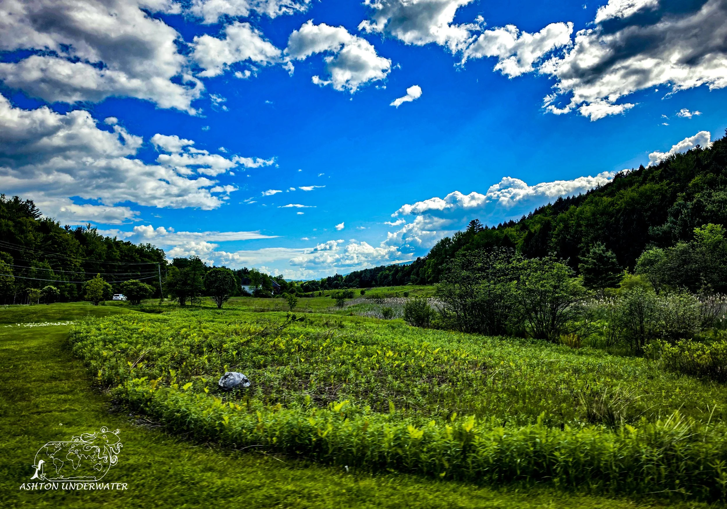 Vermont-37.jpg