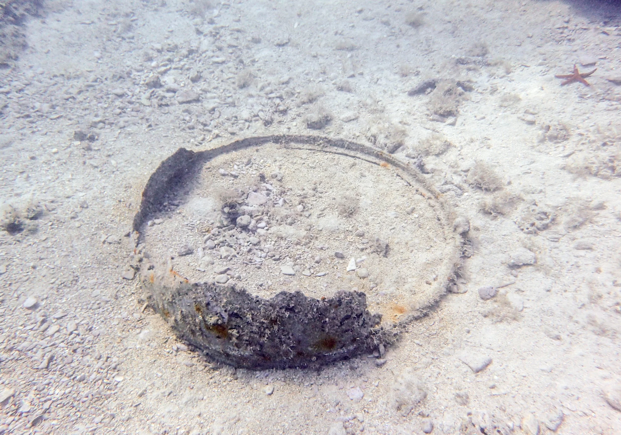 8.21 Dive 1-2.jpg