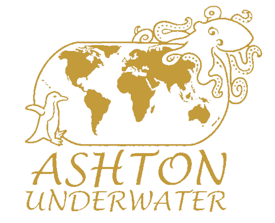 Ashton Underwater