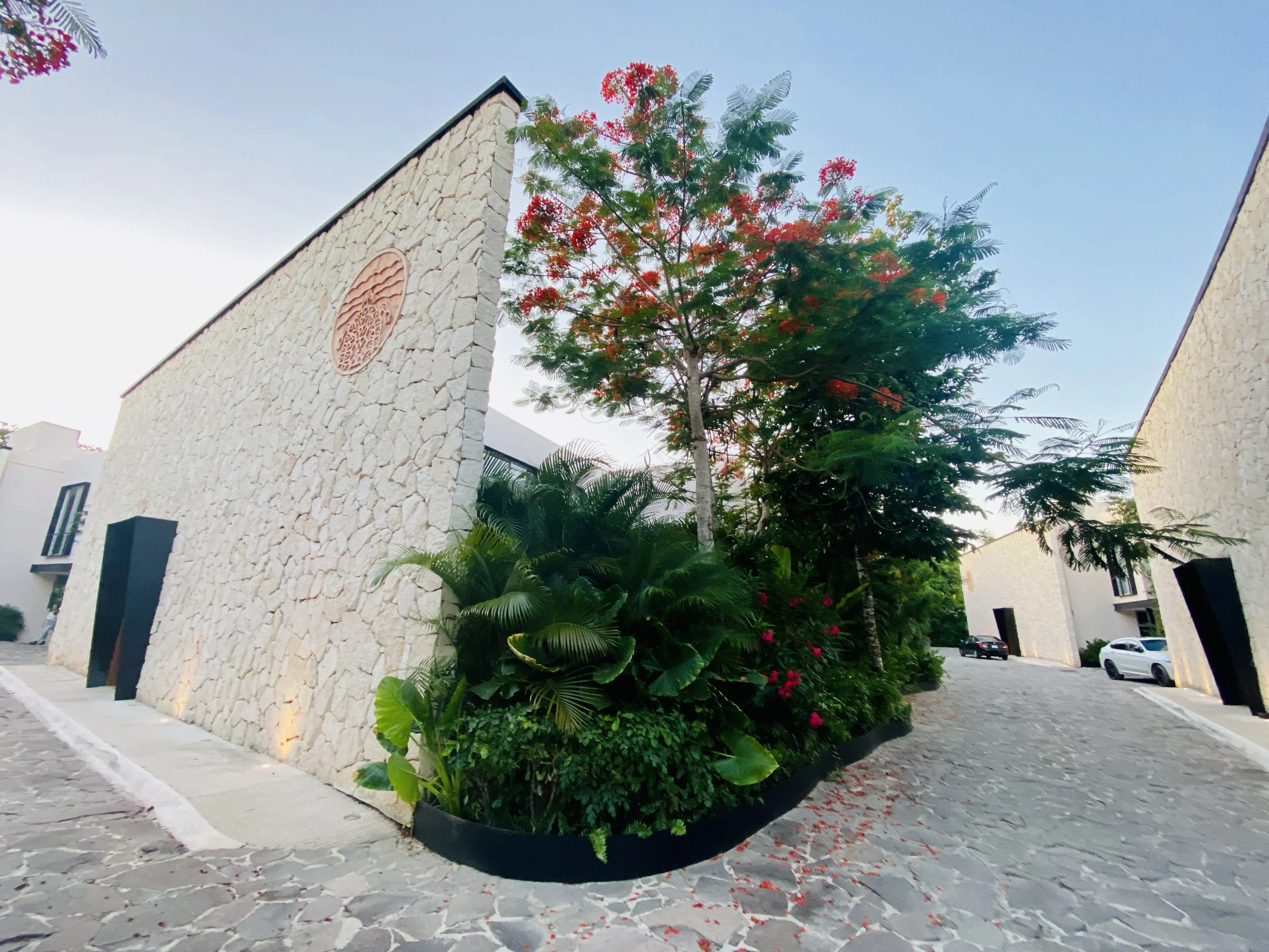 Modern light stone building exterior featuring angular architectural walls, lush tropical landscaping, and a flowering red flamboyán tree along a stone driveway.