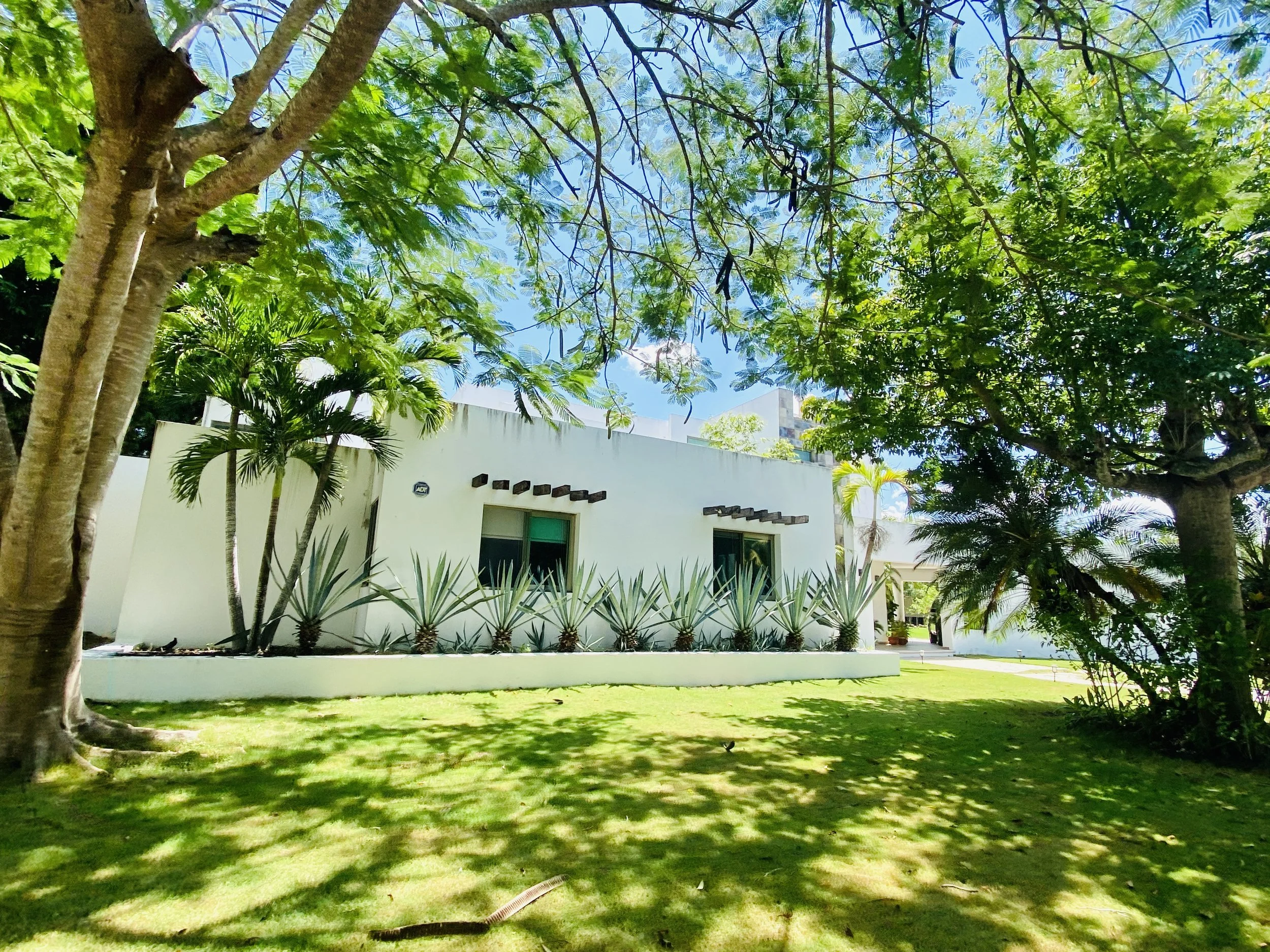 White stucco home in La Ceiba golf community surrounded by lush green trees, featuring a row of agave plants in a raised planter and a shaded lawn.