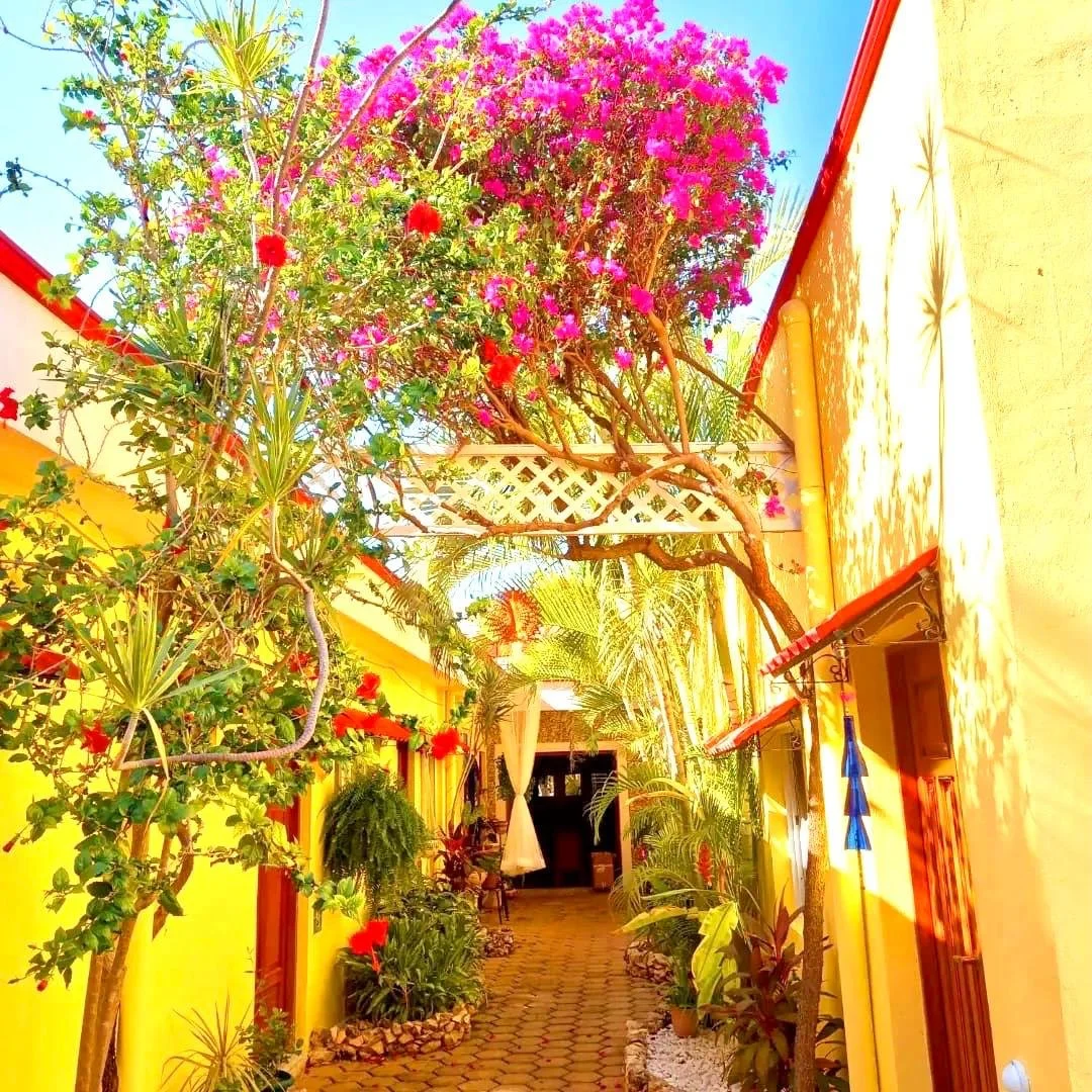 Colorful outdoor patio with yellow walls, vibrant pink and red flowering plants, and lush greenery. Cobblestone pathway leads through the garden with shadows of trees on the wall under a clear blue sky.