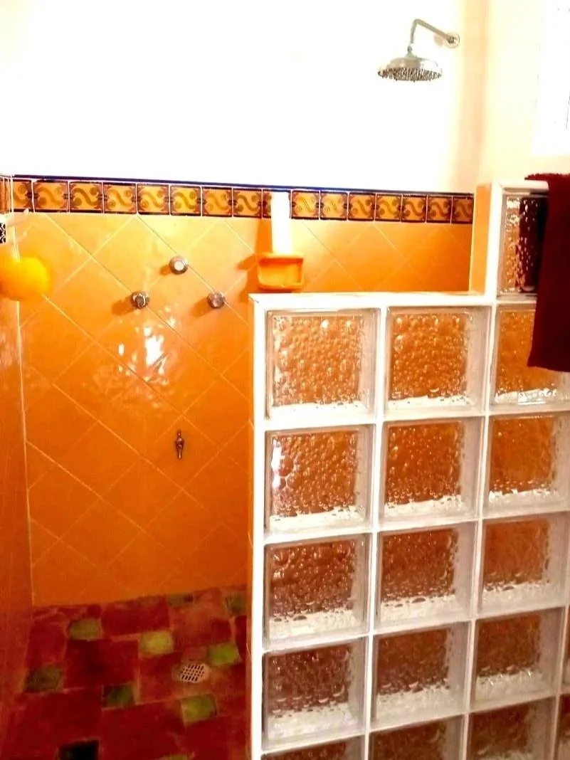 Bathroom shower area with orange tiles, glass block wall, and a shower head mounted on the ceiling.