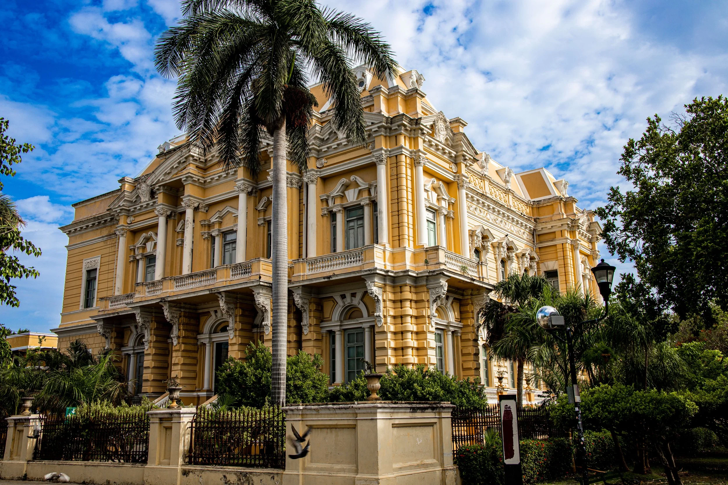 Street view of Palacio Canton Anthropology Museum with yellow paint and white accents and large palm tree in front