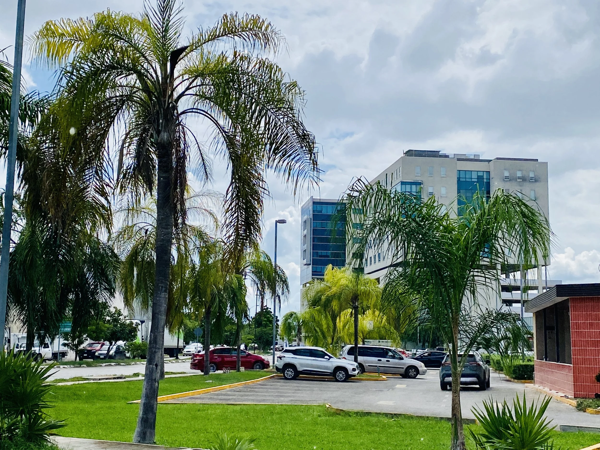 Parking lot with palm trees in the Altabrisa neighborhood of Mérida, featuring the modern Star Médica hospital building in the background