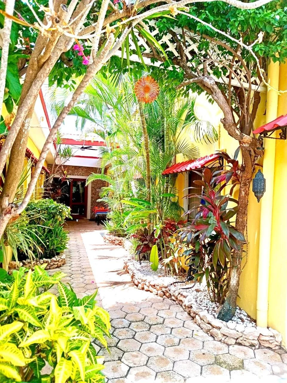 A vibrant outdoor garden pathway with lush green plants, trees, and colorful flowers, bordered by stone edging, leading to a building with yellow walls, red awnings, and a decorative hanging lantern.