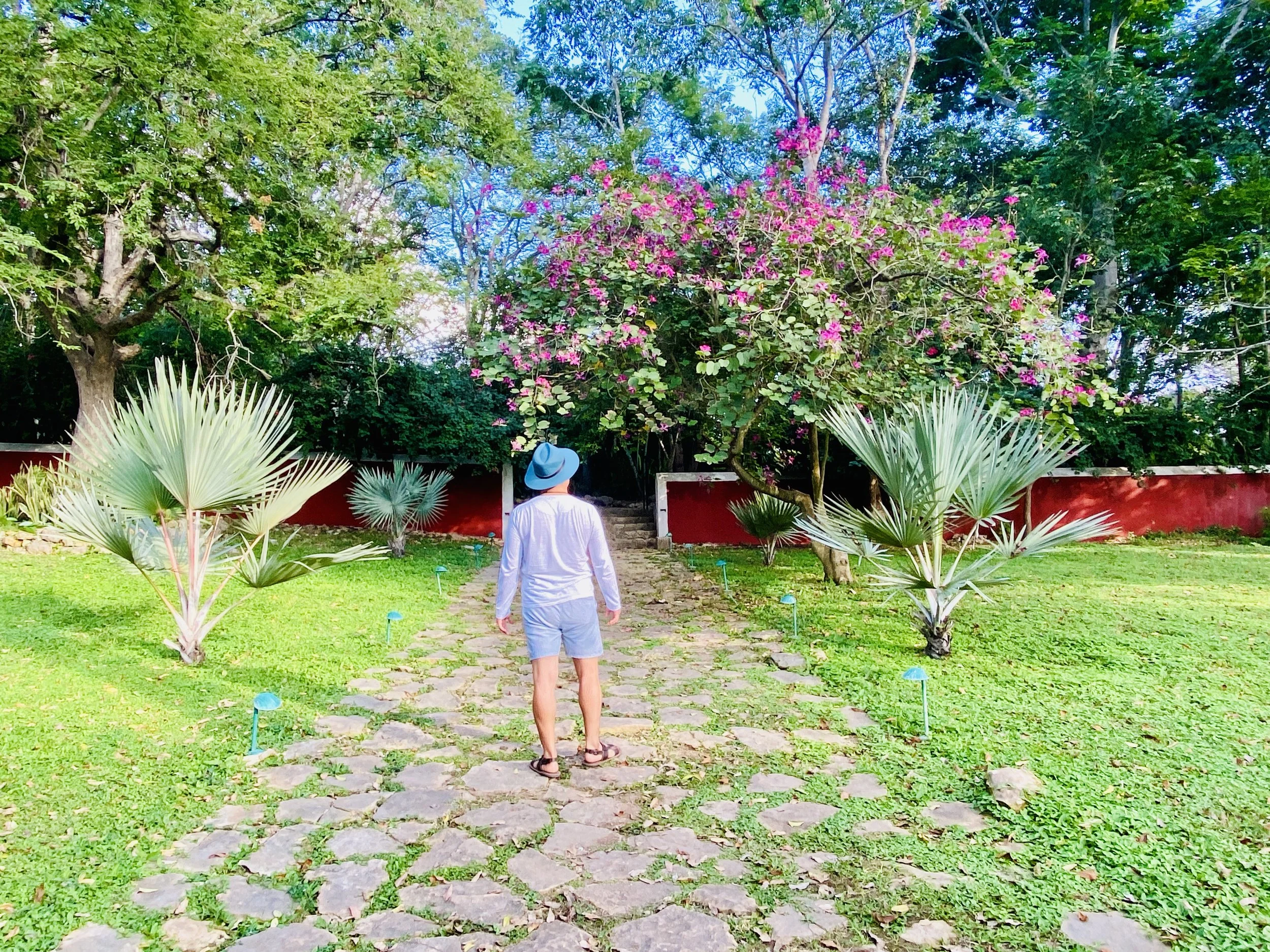 Man in shorts and blue panama hat walking down a stone path with flowers, palm trees, and vegetation and red wall at Hacienda Temozon Sur in Yucatán, Mexico