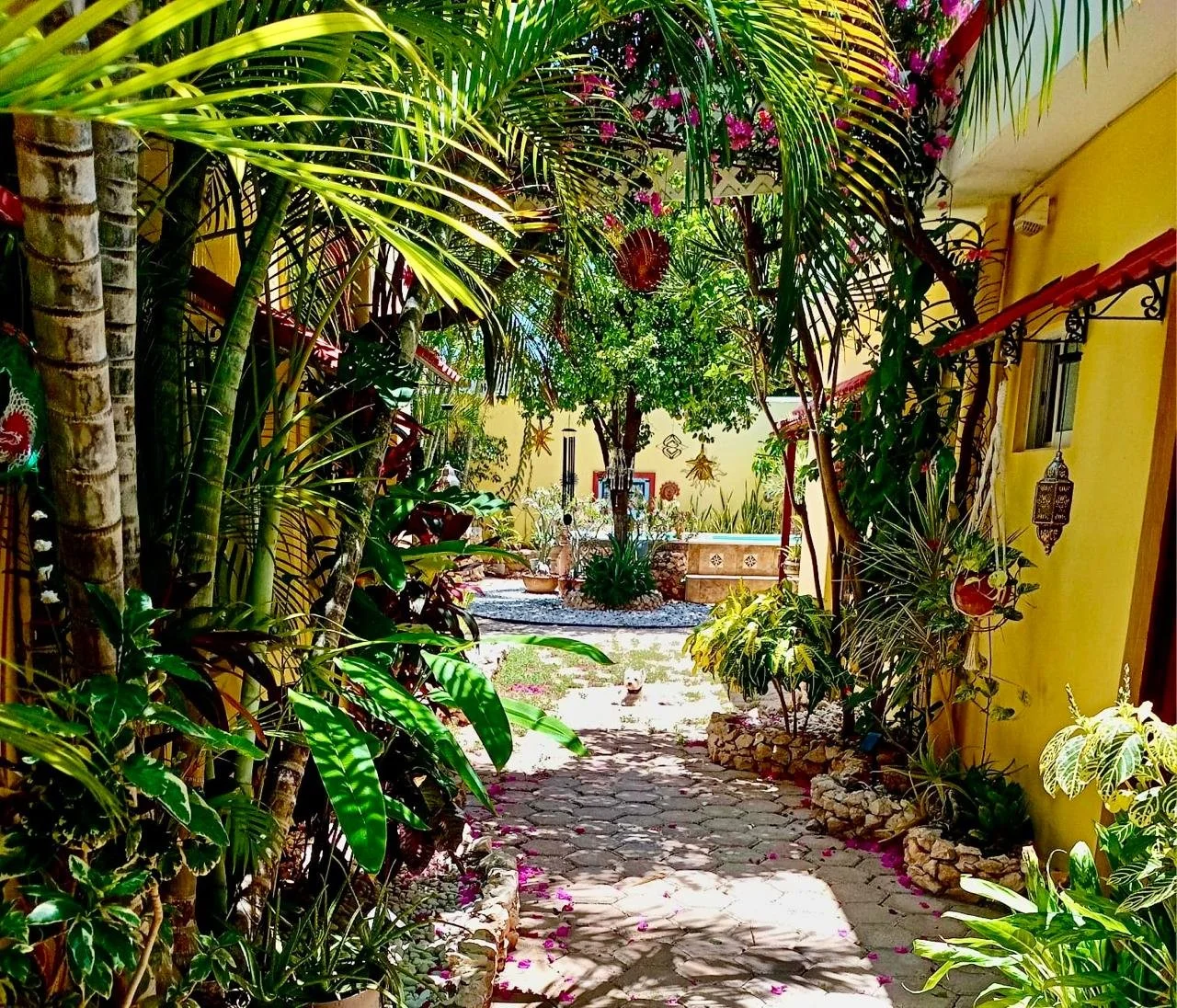 A lush garden path with tropical plants and trees, leading to a sunny area with colorful decorations and a small statue, surrounded by yellow walls.