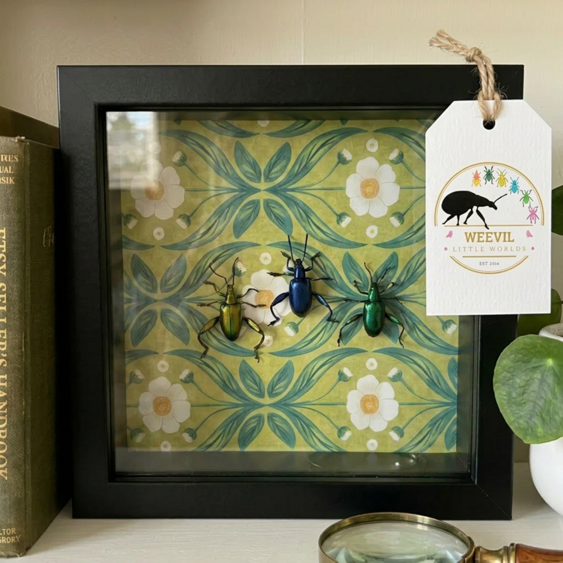 Untitled Project - illustrationImage (2).png