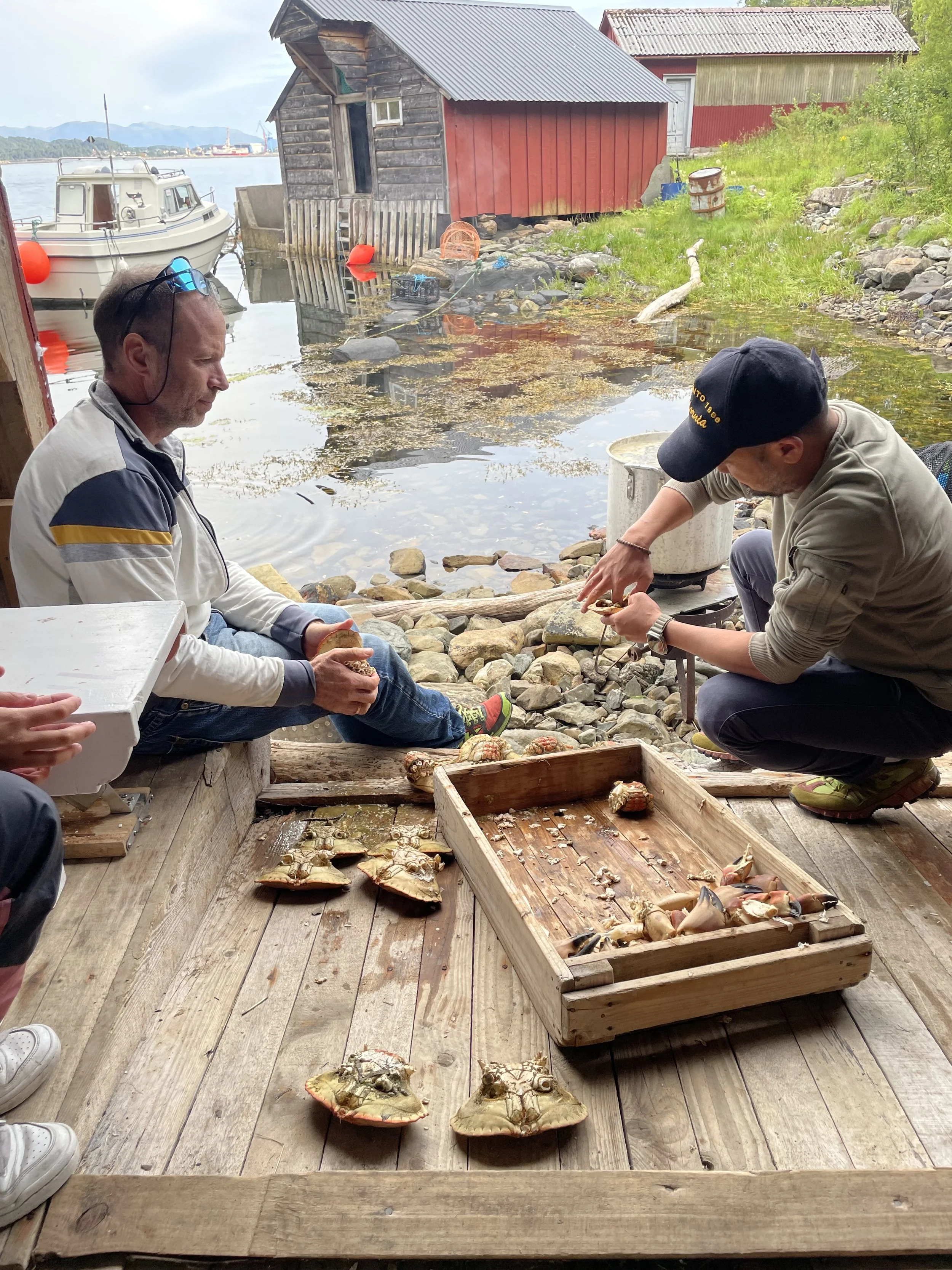 To menn som rydder og deler hummer i en utendørs krok ved vannet, med båter og en gammel redskapsbygning i bakgrunnen.