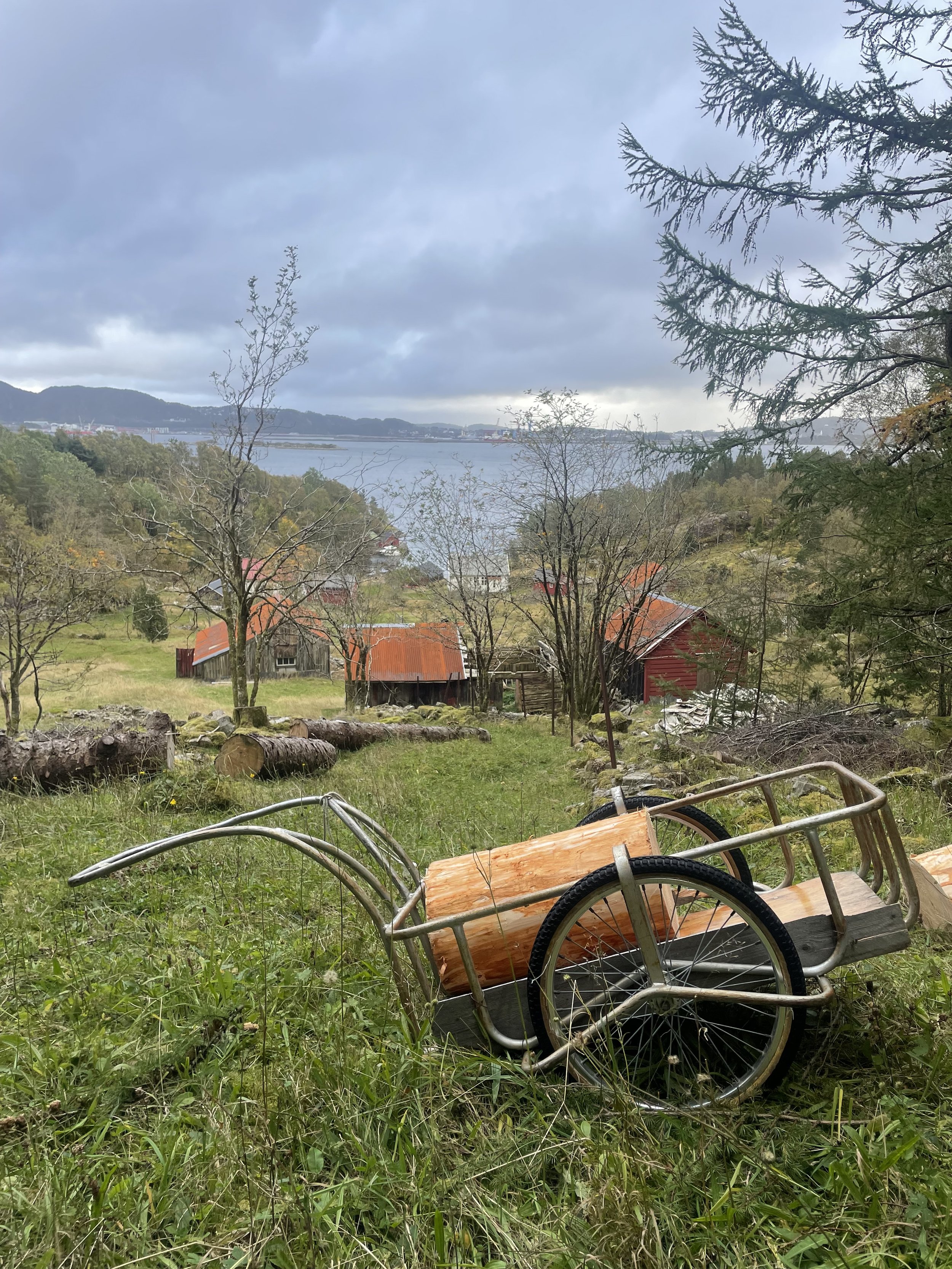Et landskap med hus, trær, en elv og fjell i bakgrunnen, med en trillebår i forgrunnen.