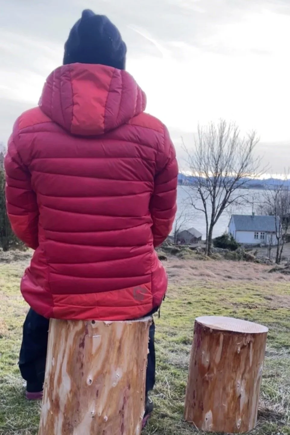 Person i rød jakke sitjande på ein trestamme, med utsikt over ein sjø og landskap med eit hus og nakne tre. Det er overskya og roleg i landskapet.