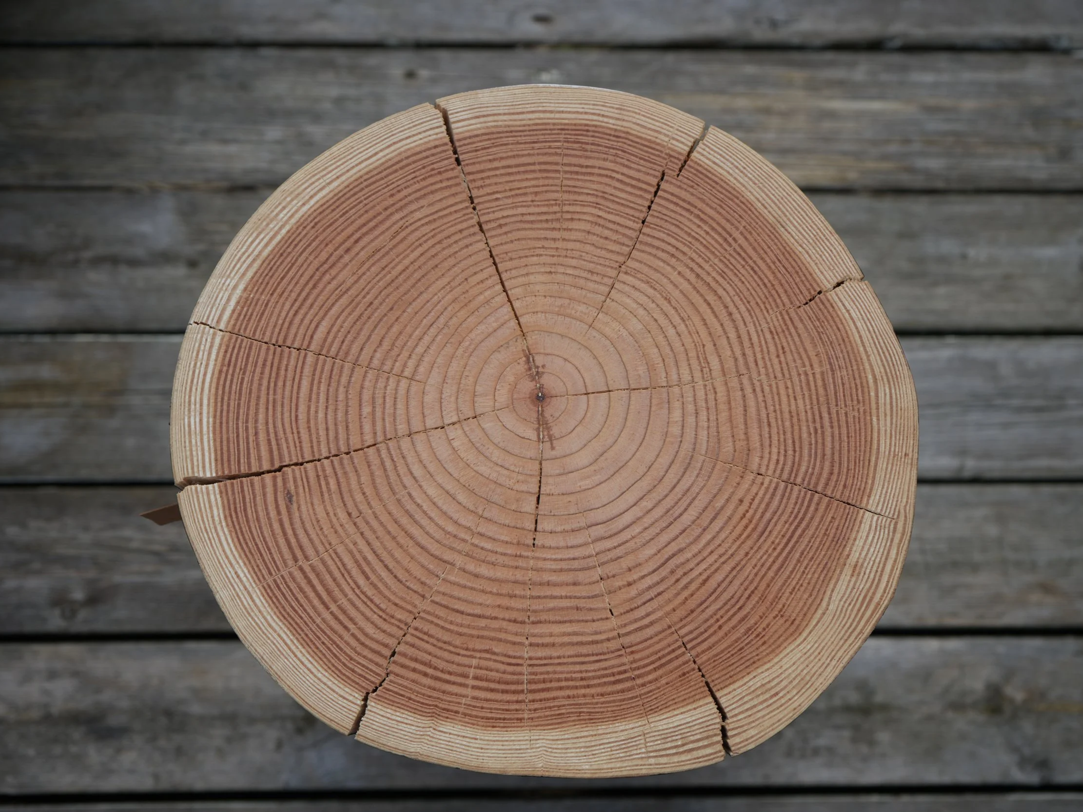 stubbe%2B-%2B%25C3%25A5rringer.png