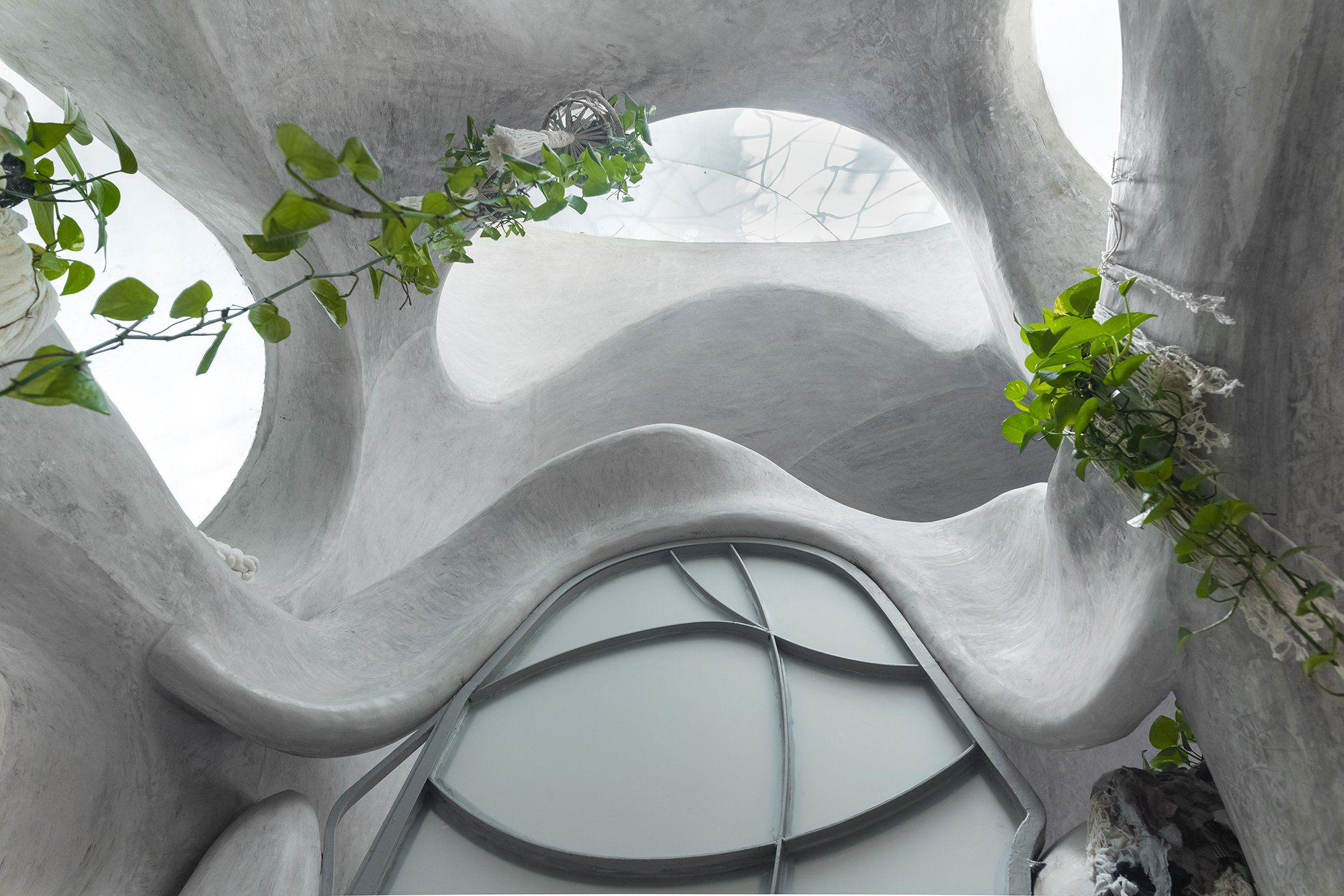 Luz natural y enredaderas en techo de arquitectura orgánica blanca. Documentación de espacios en Tulum. Voronoi Studio.
