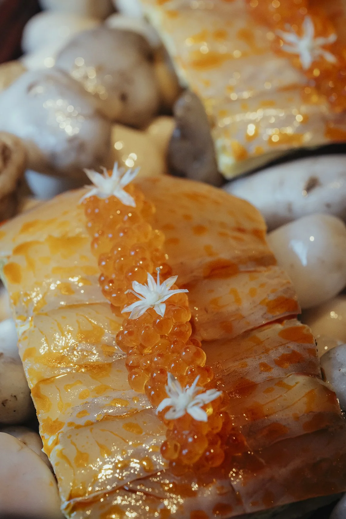 Detalle de plato de autor con huevas de salmón y pescado blanco sobre piedras. Estética culinaria Voronoi Studio, México.