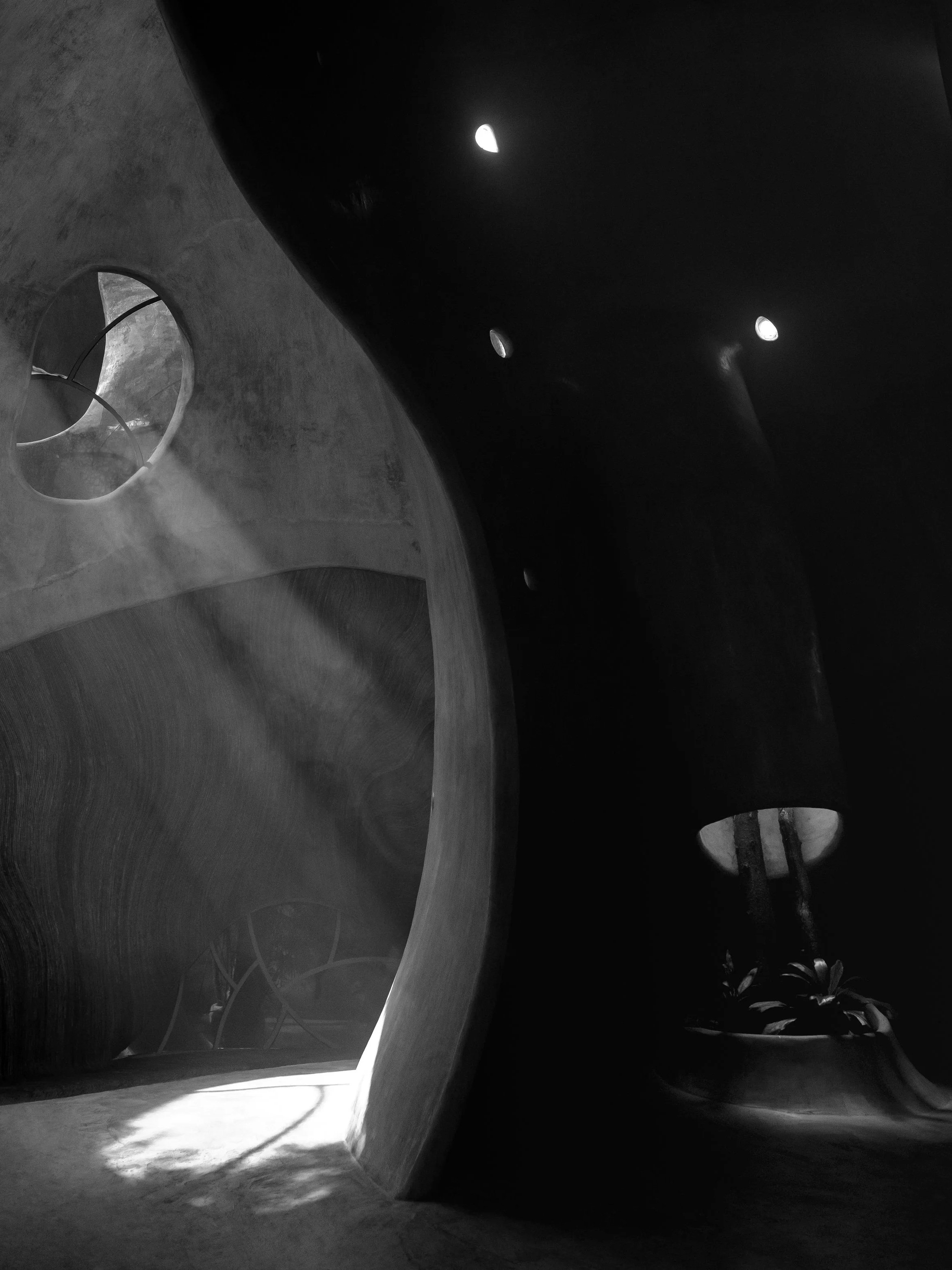 Abstract black and white organic architecture with smooth curved surfaces and holes, illuminated by light, with plants visible in the background.