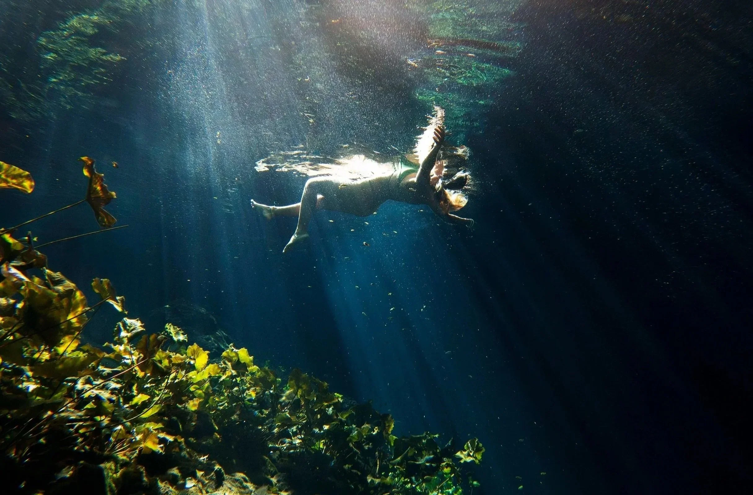 Claroscuro subacuático y rayos de luz en cenote. Fotografía de storytelling en Riviera Maya. Voronoi Studio.