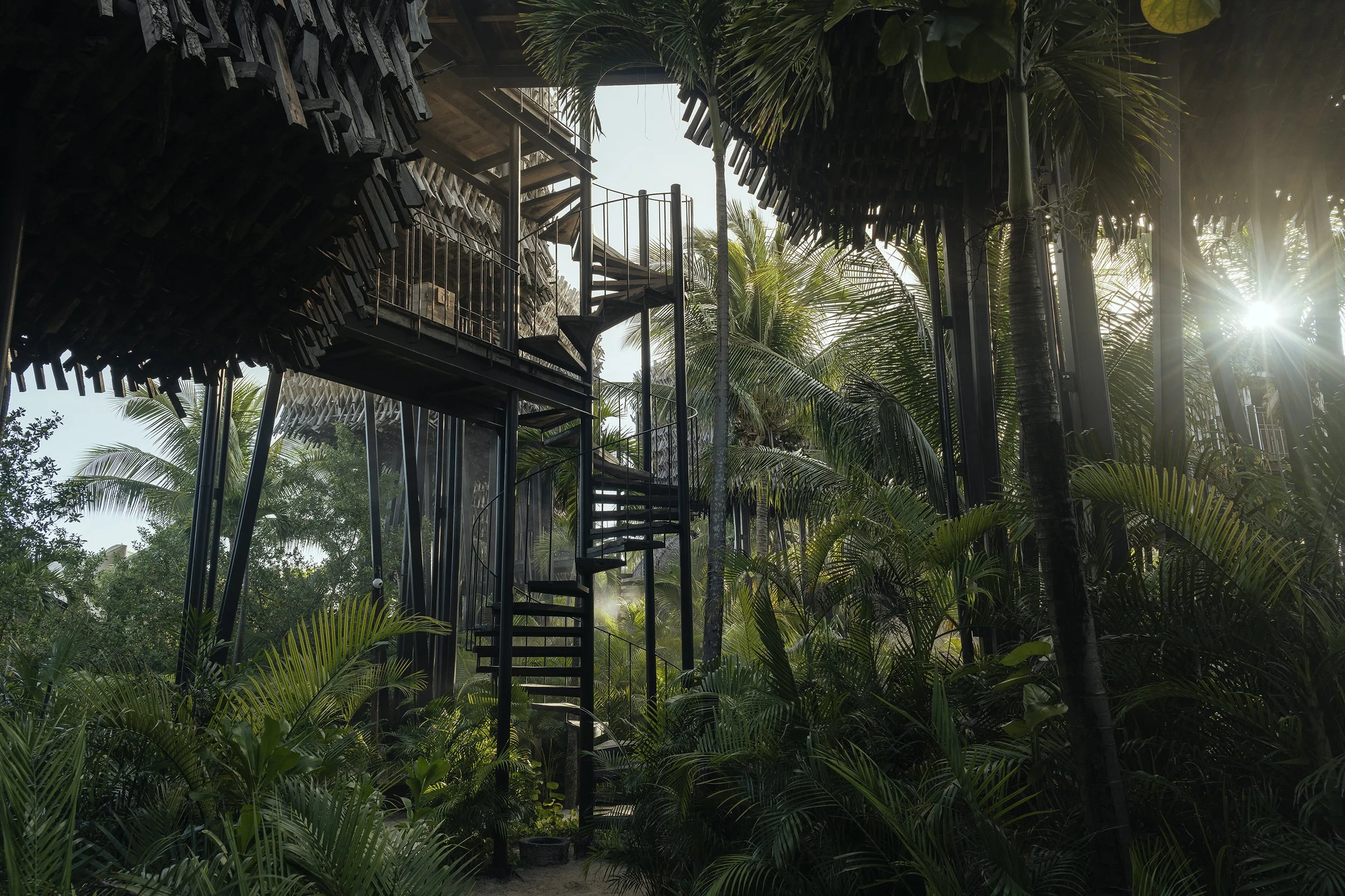 Escalera de caracol inmersa en selva densa y luz filtrada. Documentación de paisaje en Holbox.