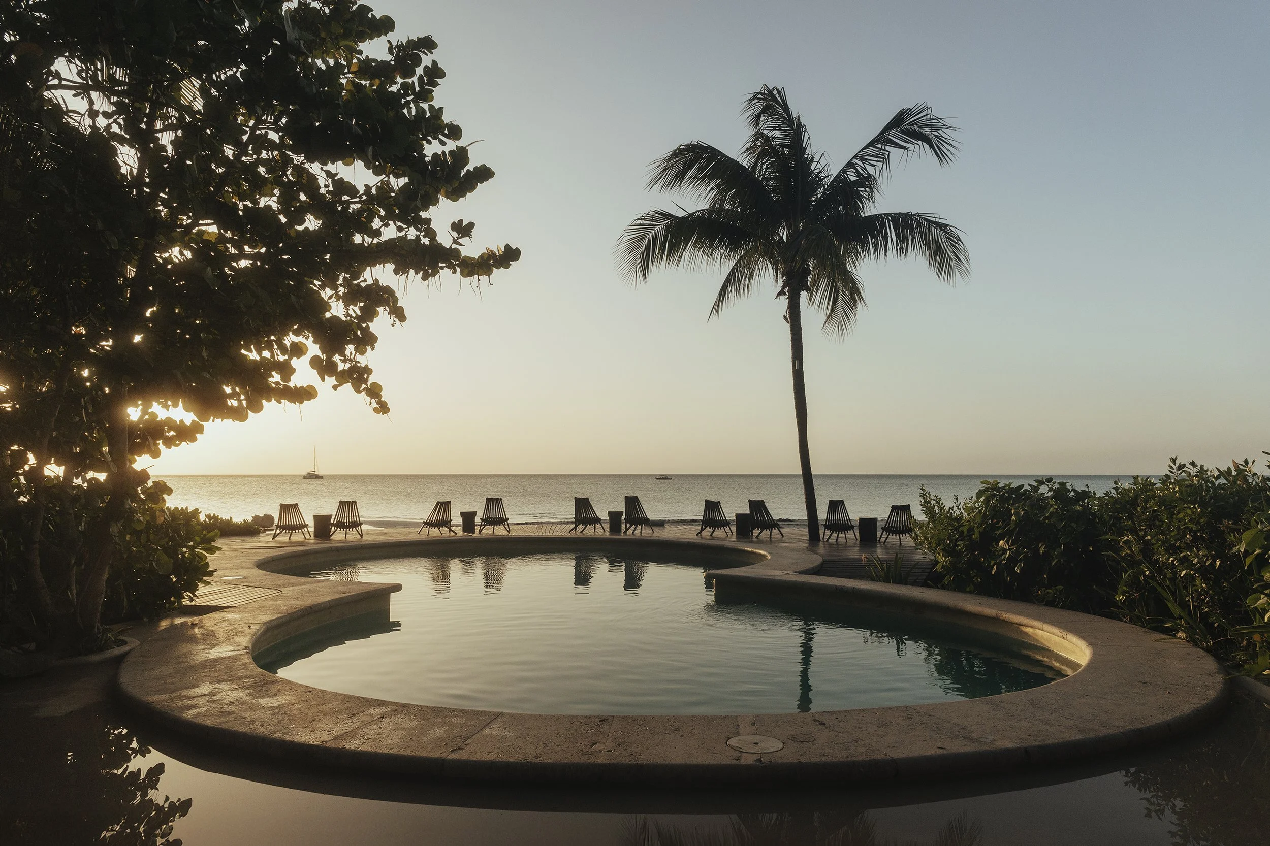 Reflejo simétrico de palmera en piscina curva al atardecer. Diseño de espacios en Riviera Maya.