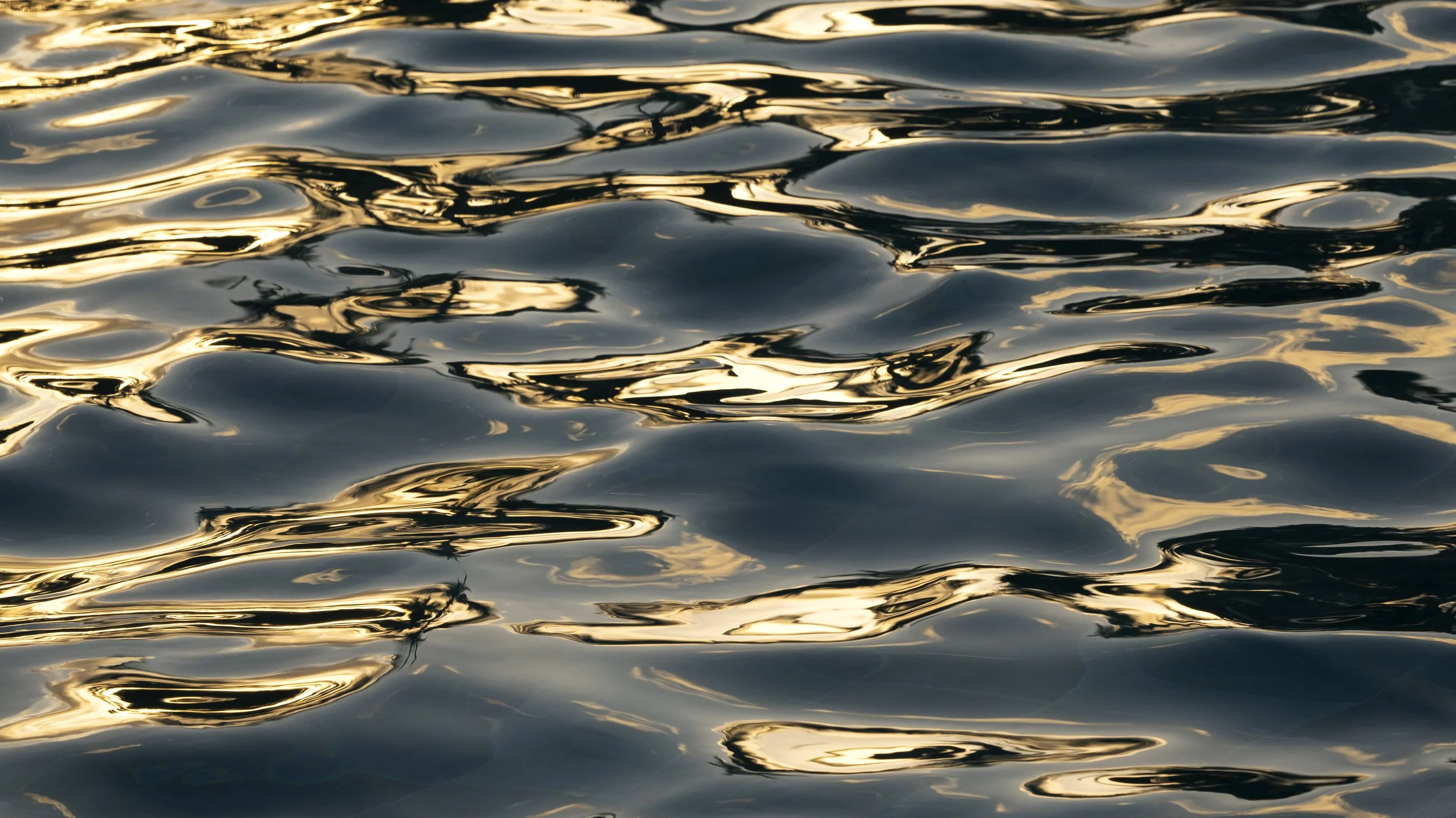 Macro de texturas y reflejos metálicos en el agua. Documentación de entorno natural en Riviera Maya.
