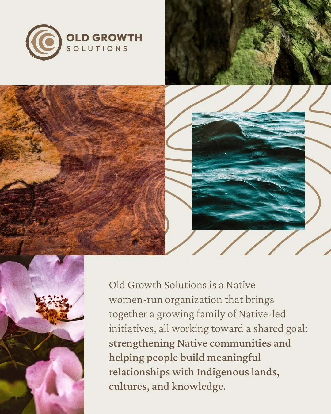 We&rsquo;re excited to officially introduce Old Growth Solutions and launch our new website!

Old Growth Solutions is a Native women-run organization that brings together a growing family of Native-led initiatives, all working toward a shared goal: s