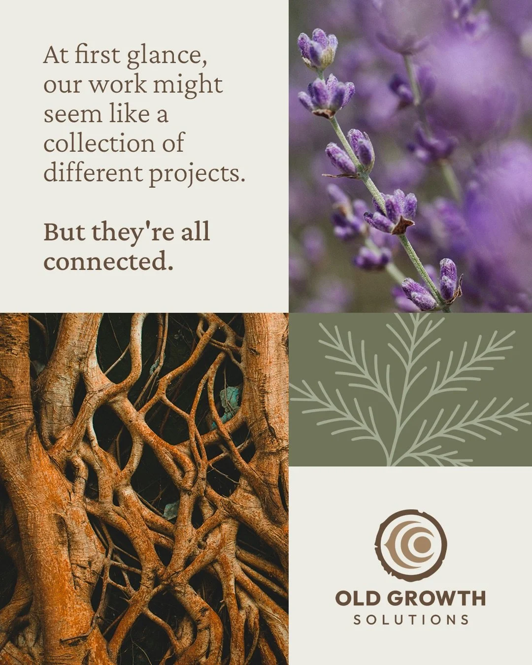 We serve as a root system that nourishing a living ecosystem of Indigenous and values-driven ventures that strengthen Native communities🪾🍃🍁

Learn more about our work and services at theoldgrowth.co