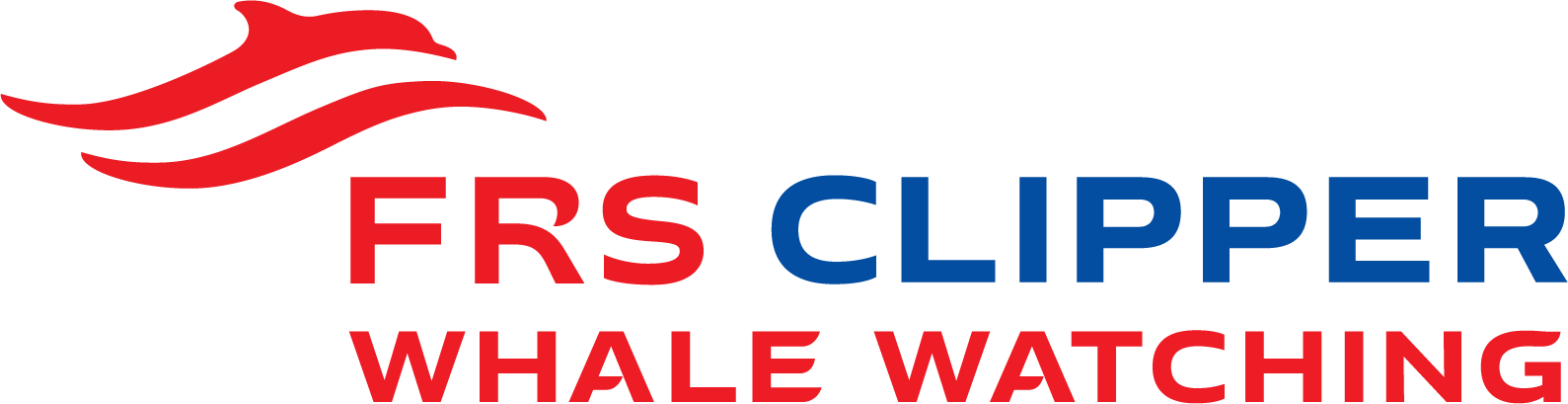 FRS Clipper Whale Watching