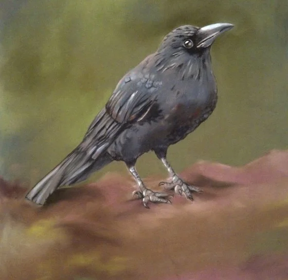 My first Crow painting 🐦‍⬛