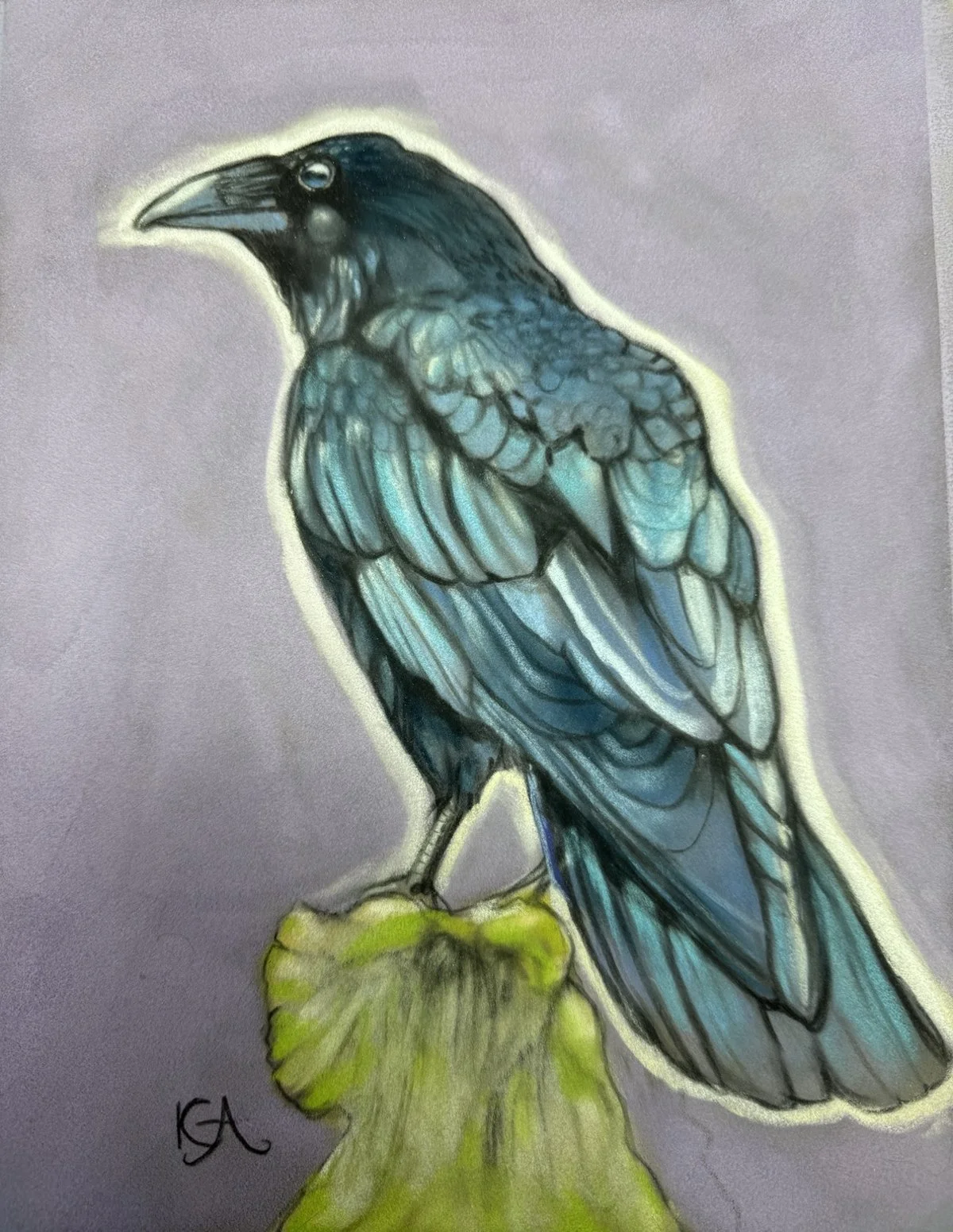 My beautiful crow, my favourite subject🐦‍⬛