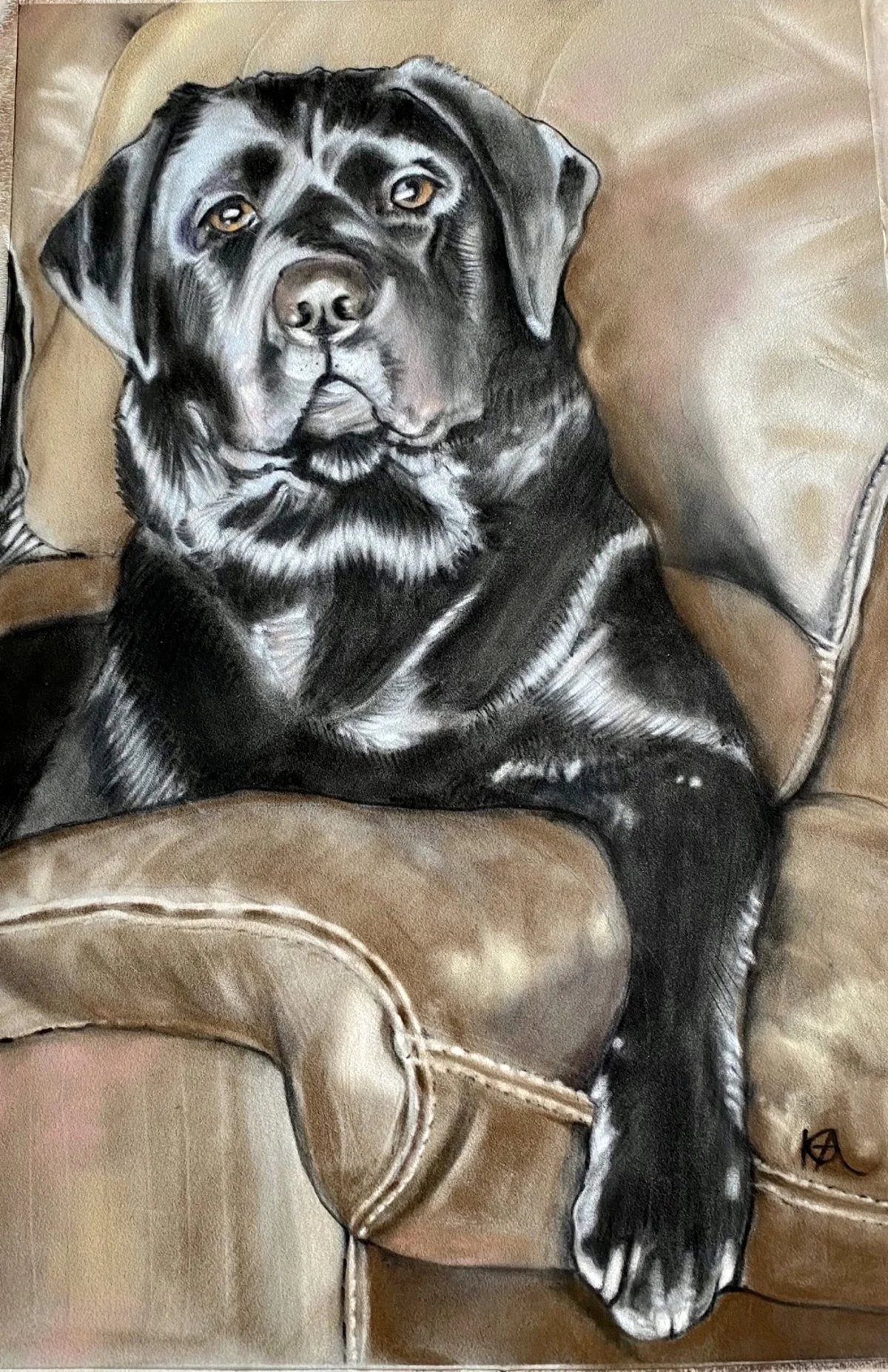 BODIE 🐾