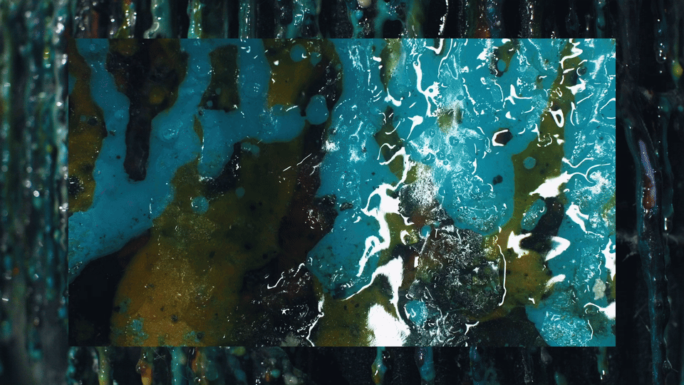 08-clip-30fb0347-8s.gif