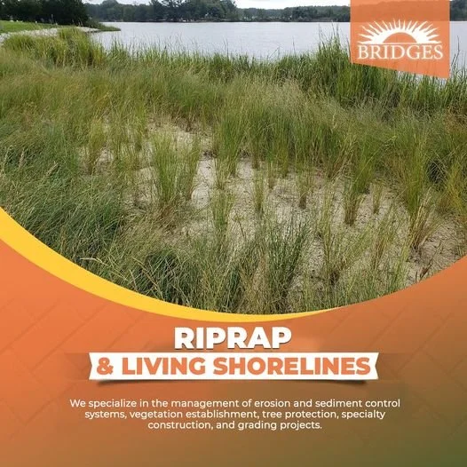rip rap and living shorelines.jpg