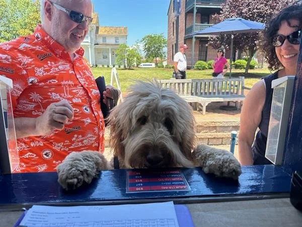 Dog_at_Ticket_Booth_Window.jpg