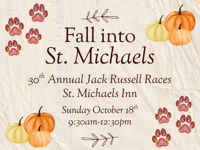 Jack Russell Races