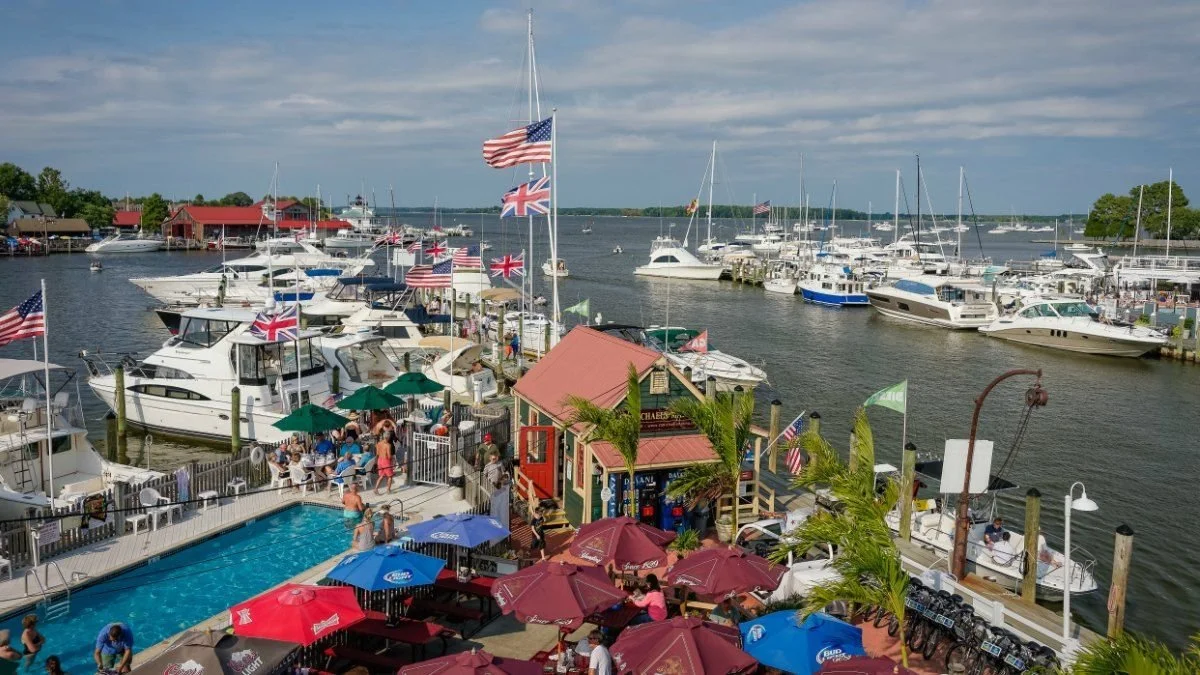 Marina with boats docked, people enjoying poolside area with umbrellas, small building with tropical plants, flags, and a cloudy sky.