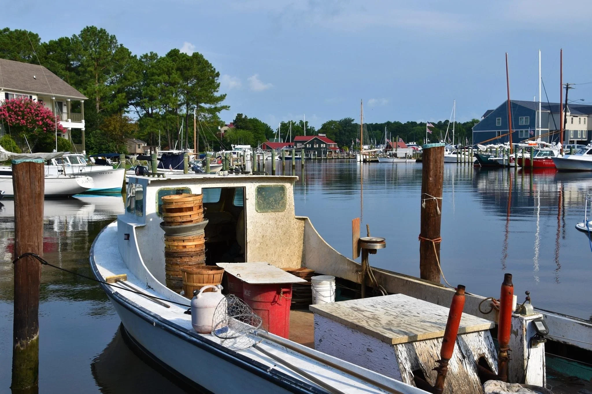 Boats docked at a marina with houses and trees in the background on a clear day.