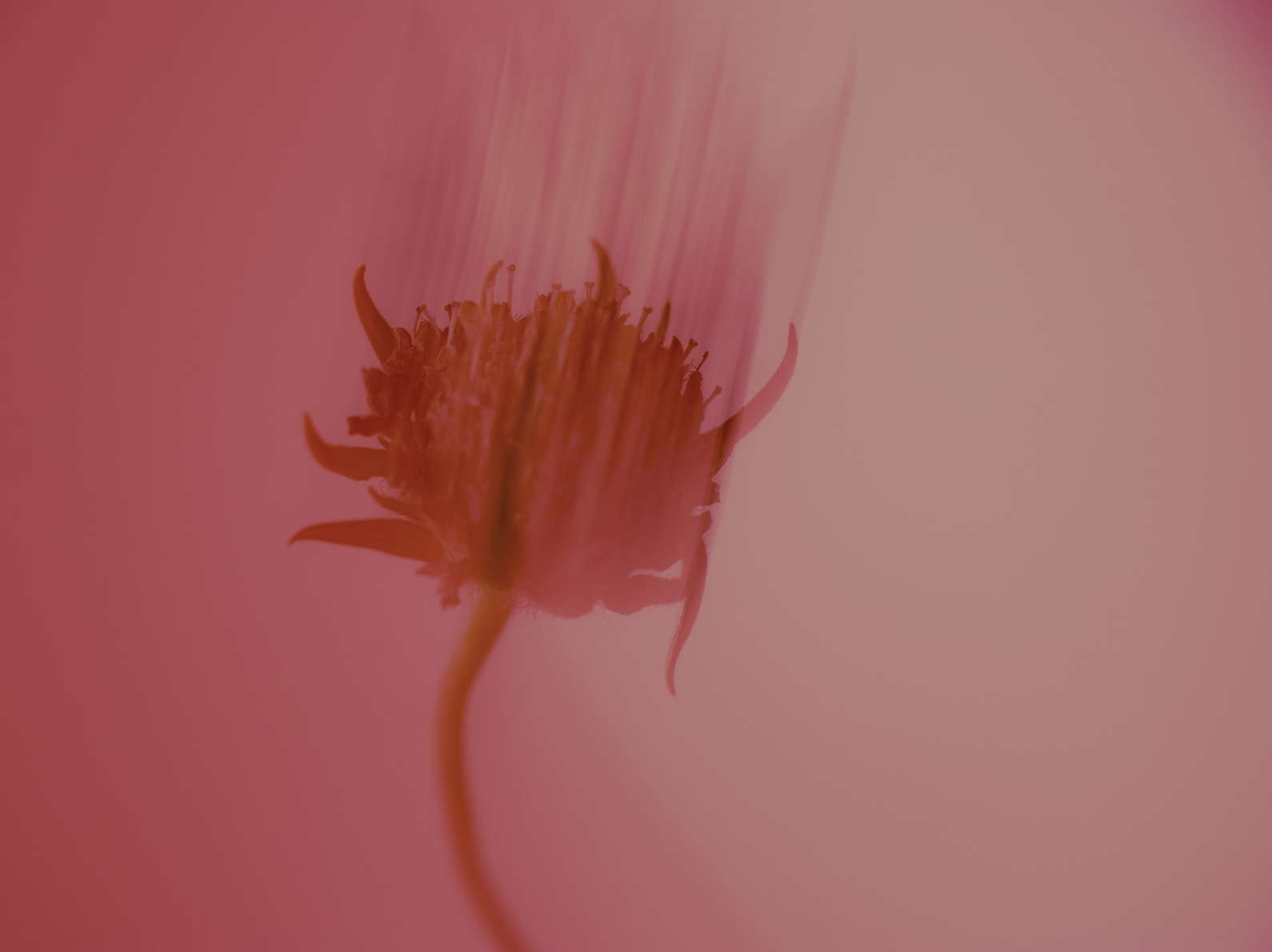 Screenshot 2026-05-25 at 1.21.15 p.m..png