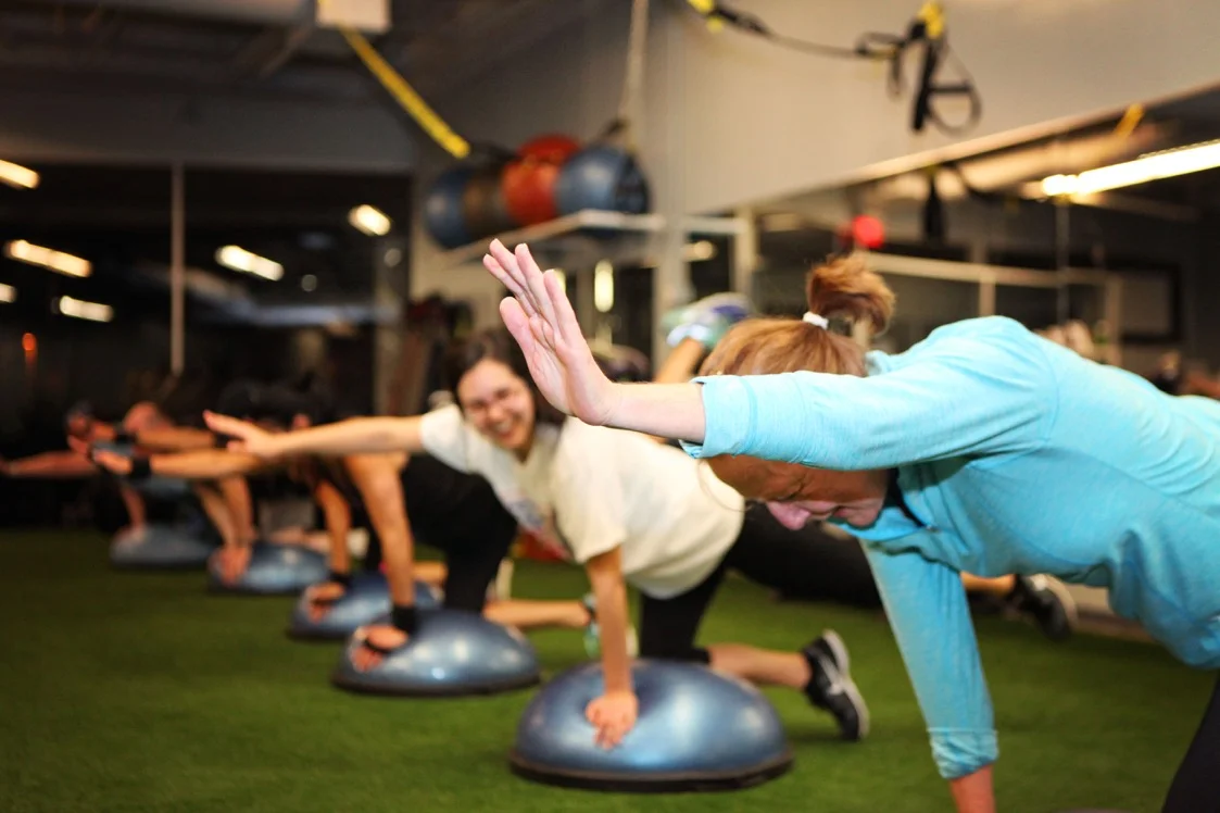 Bird-dog - BOSU Core