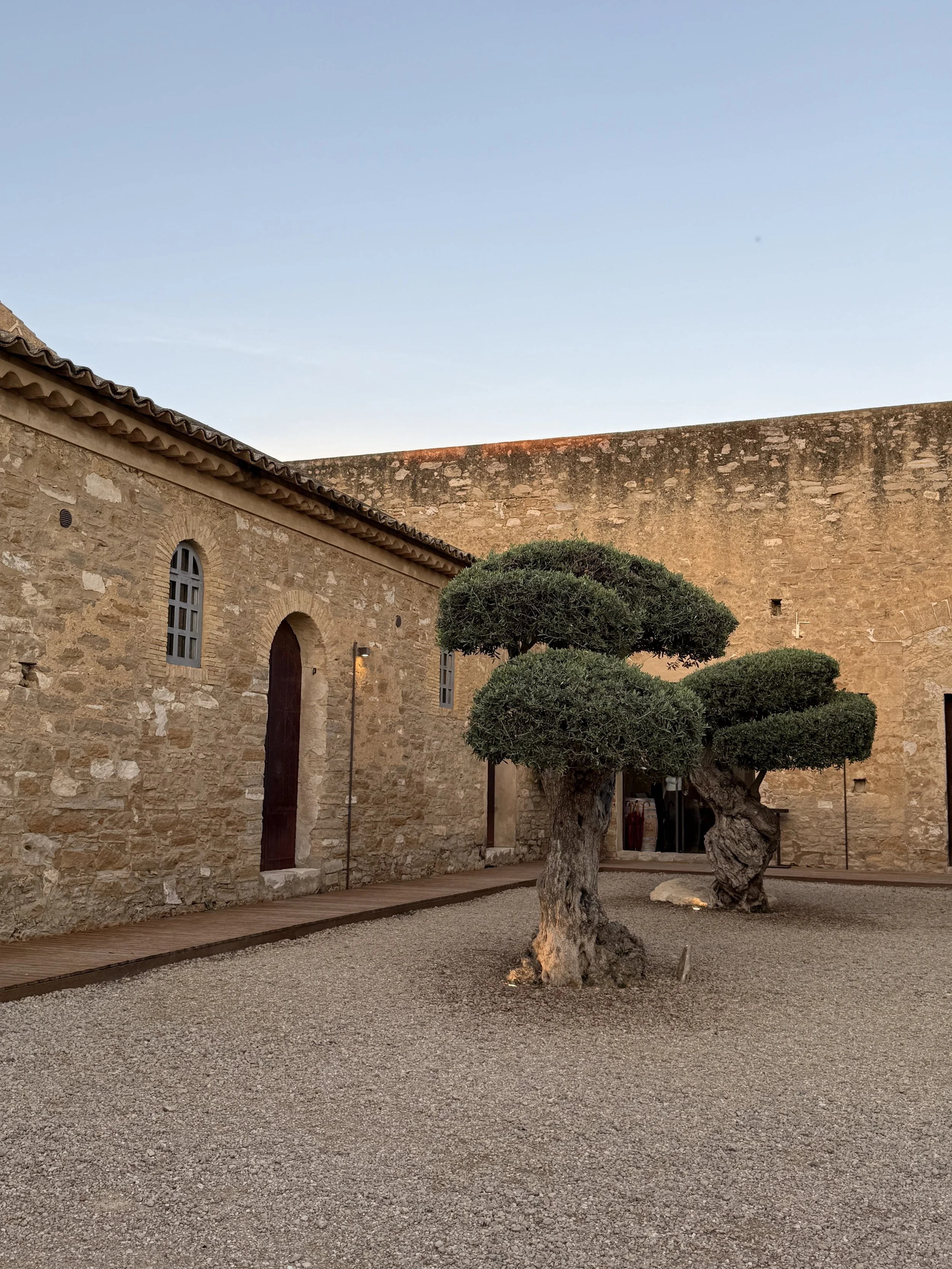 A stone building with arched and rectangular windows, a clay tile roof, and an outdoor courtyard featuring a sculpted, pruned tree with multiple trunks and rounded foliage.
