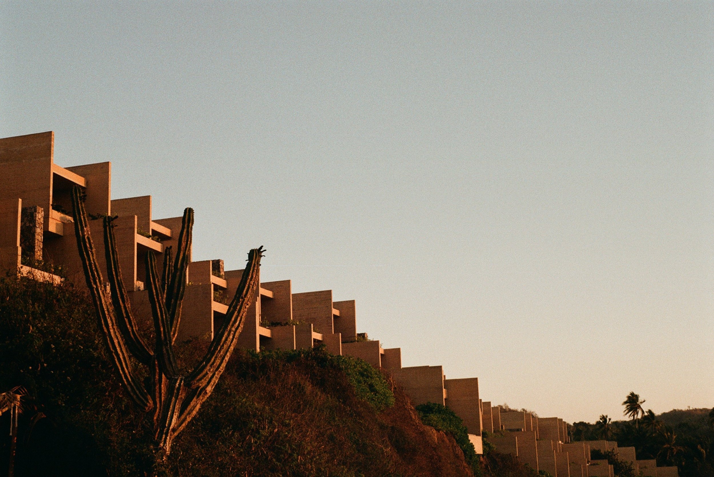 An apartment complex on a hillside with a tall cactus in the foreground and a clear sky in the background.