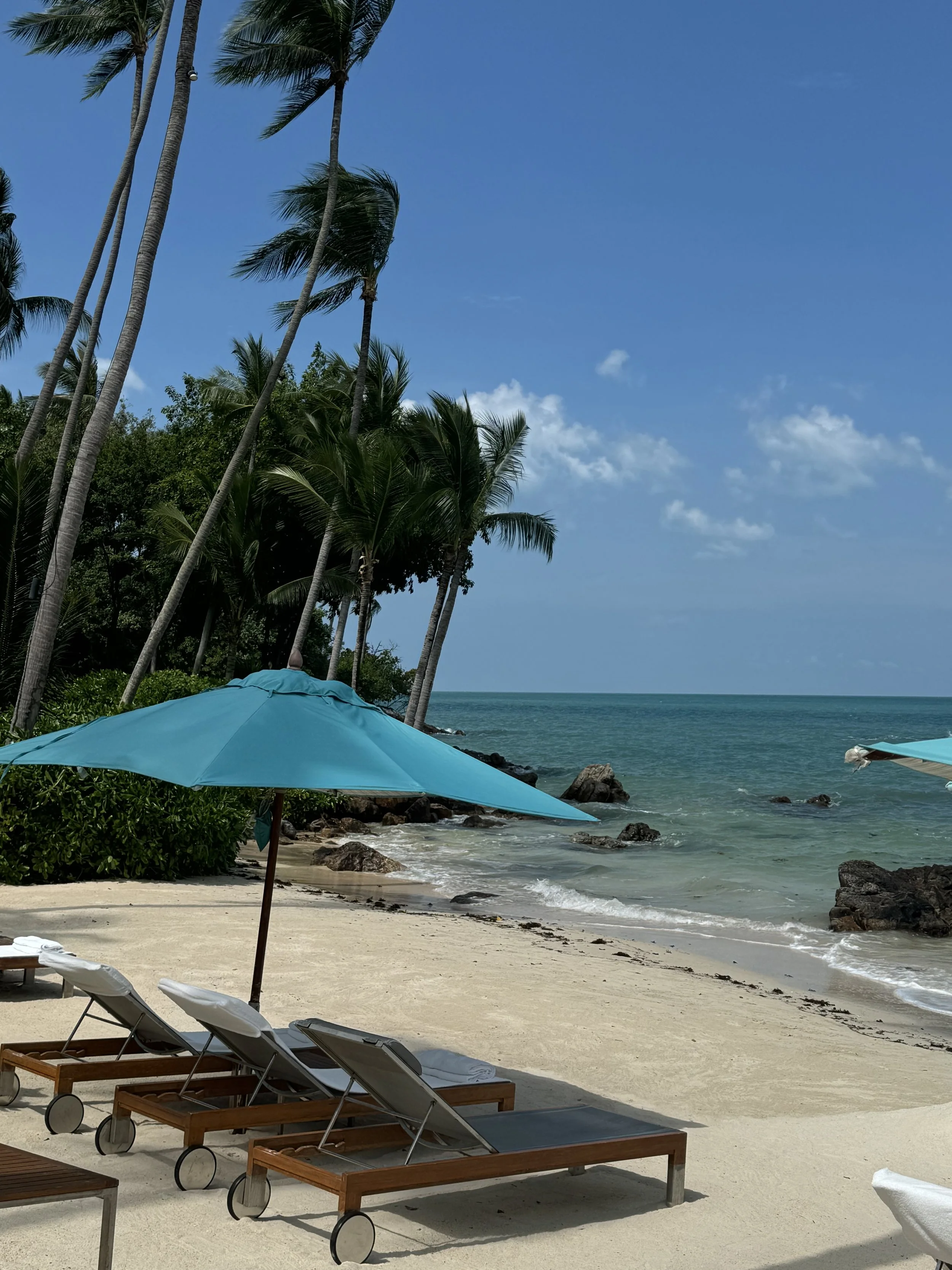 Beach scene with wooden lounge chairs, turquoise umbrellas, palm trees, and ocean waves under a partly cloudy sky.