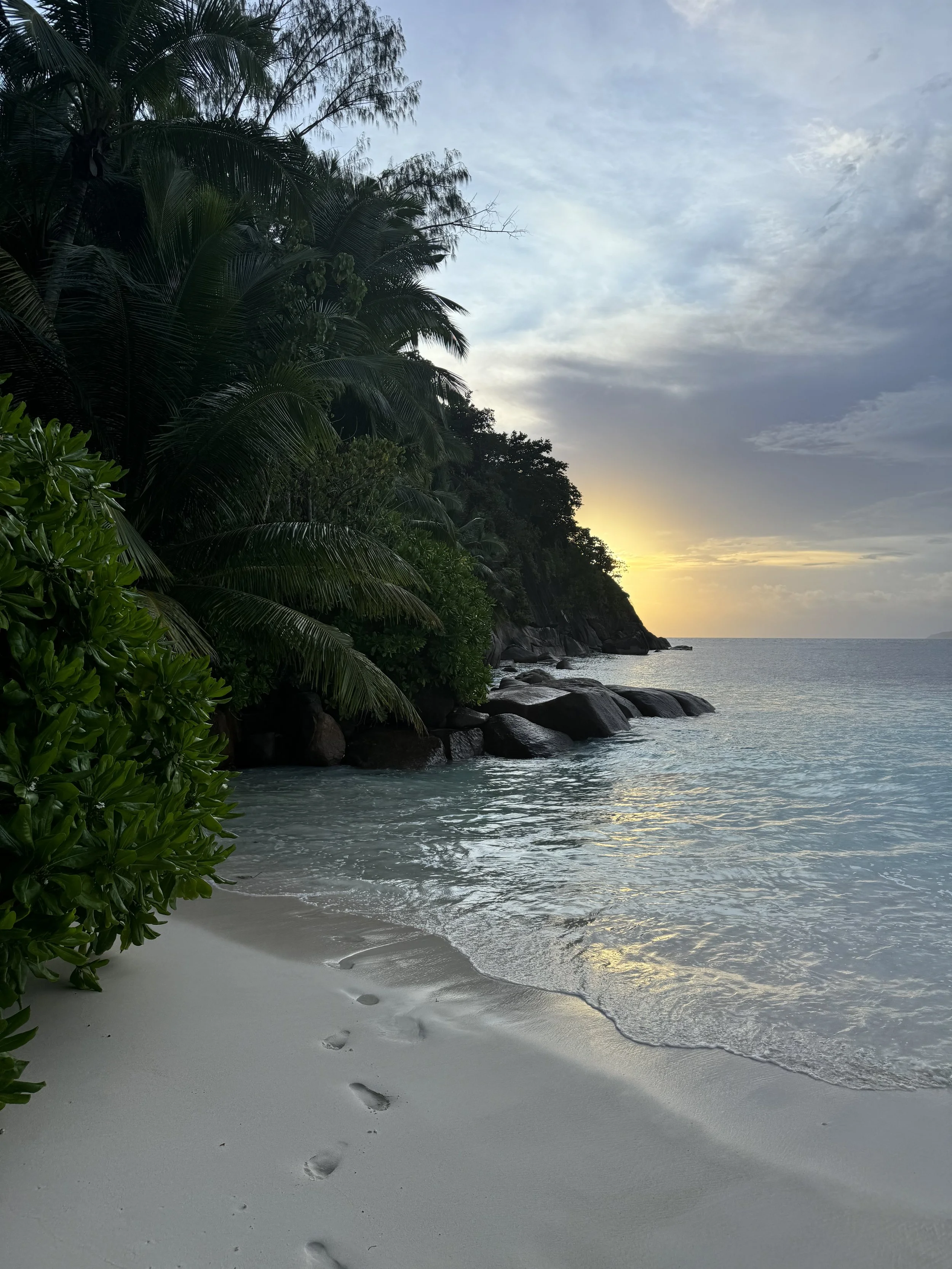 Footsteps in the sand on a beach next to water, with lush green tropical plants on the left and a rocky cliff with trees, during sunset or sunrise with cloudy sky.