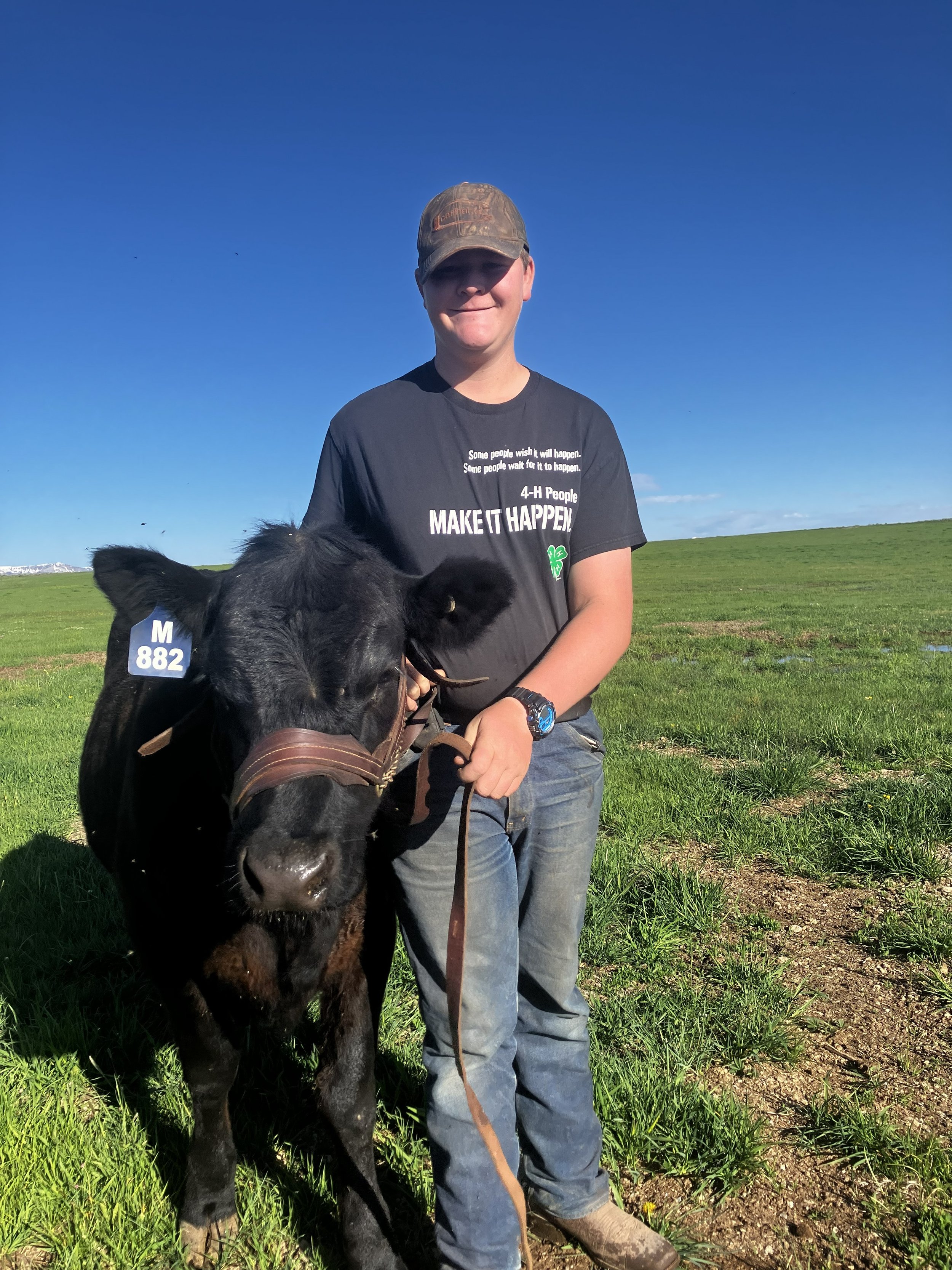 A young person wearing a camouflage cap and a black T-shirt stands outdoors in a grassy field, holding the leash of a black calf with a white tag on its ear, under a clear blue sky.